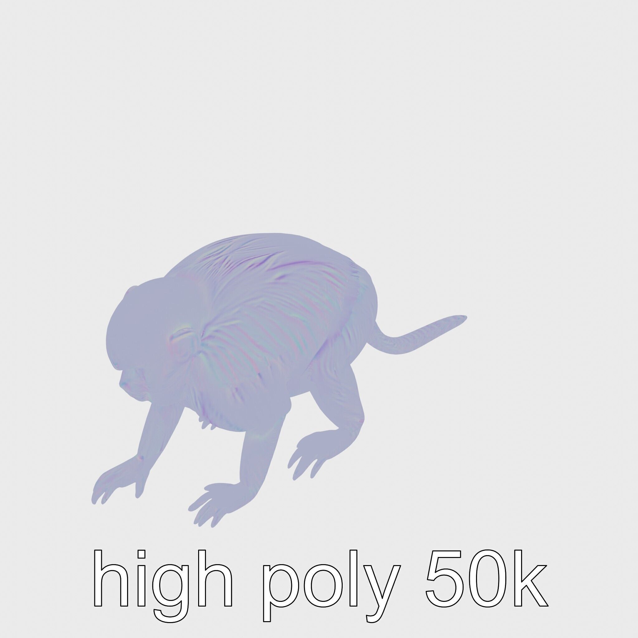 Colobus Monkey 3D Model with Flowing Fur Details Low-poly 3D model_14