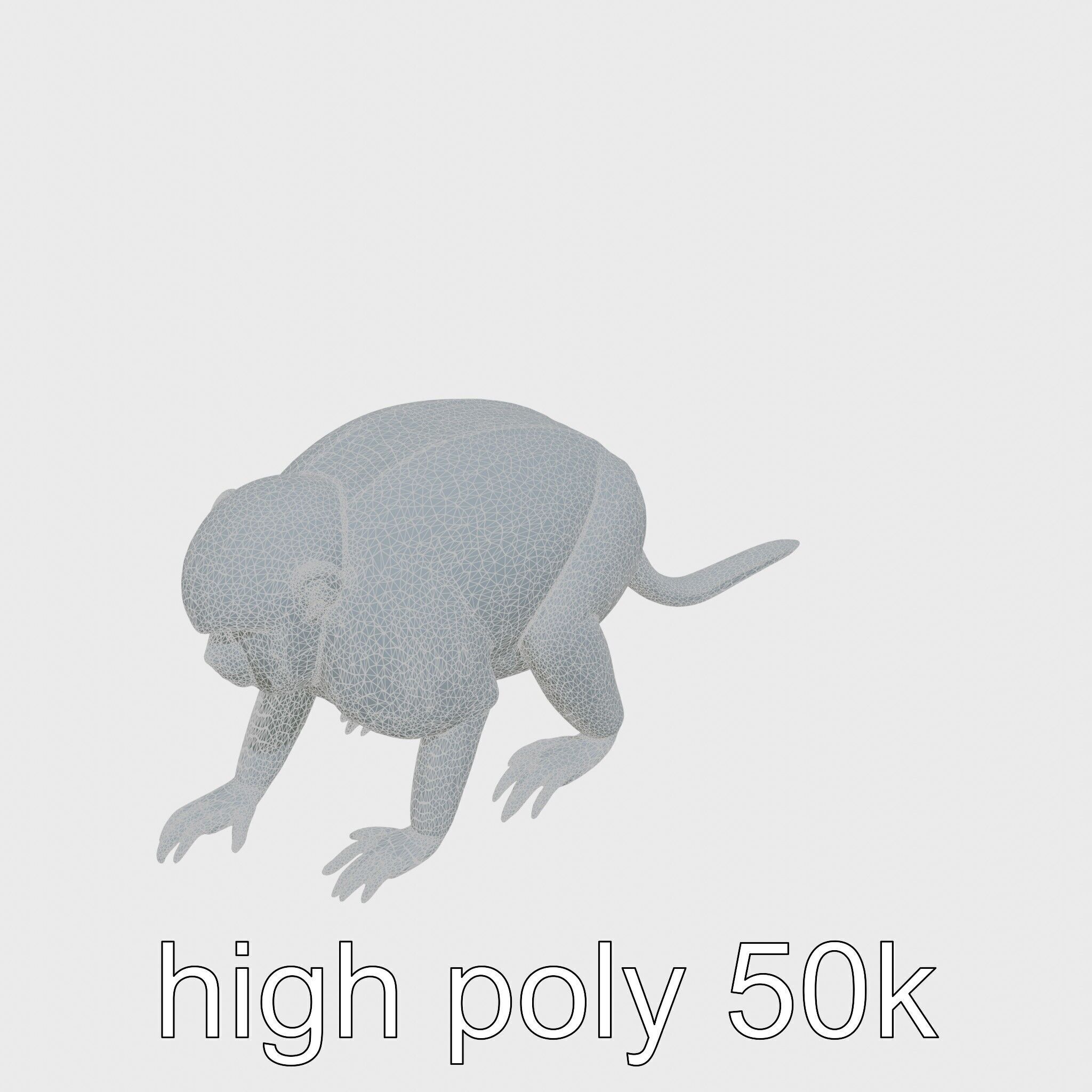 Colobus Monkey 3D Model with Flowing Fur Details Low-poly 3D model_31