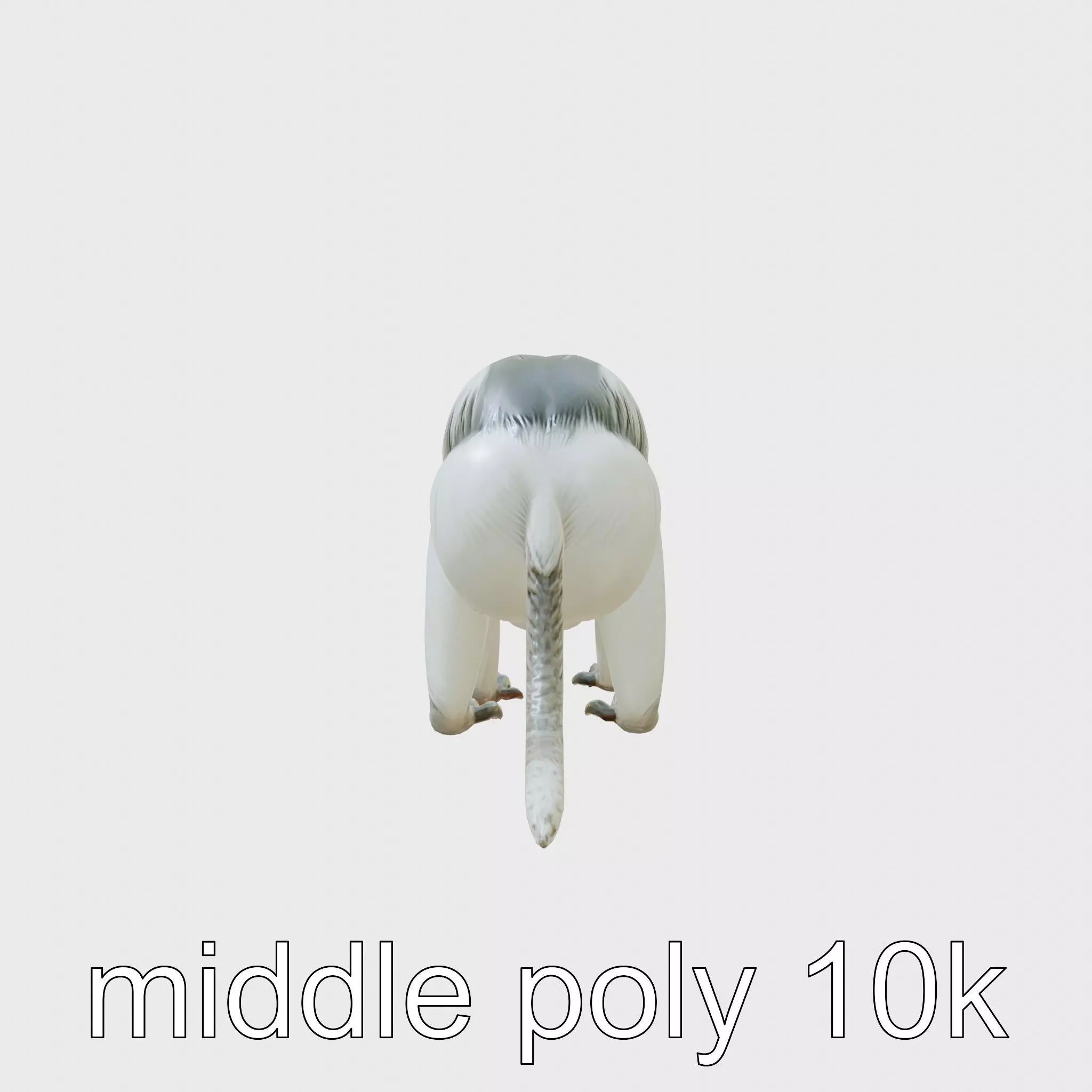 Colobus Monkey 3D Model with Flowing Fur Details Low-poly 3D model_0