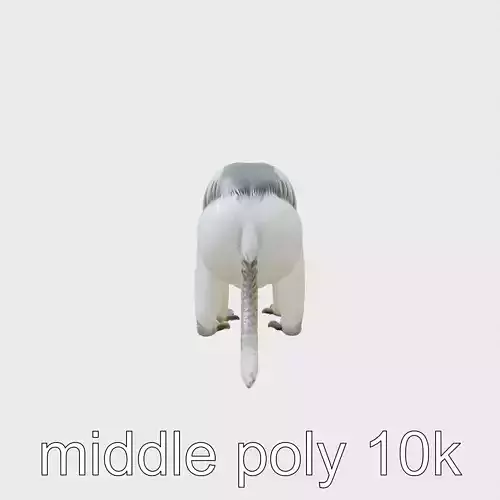 Colobus Monkey 3D Model with Flowing Fur Details