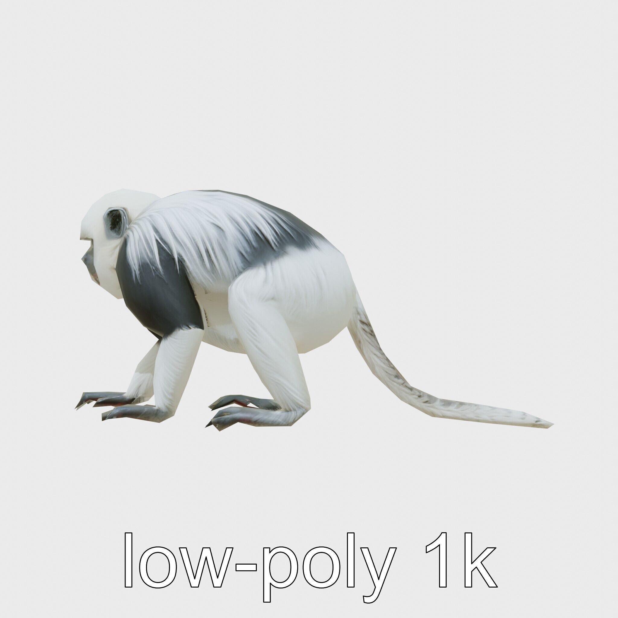 Colobus Monkey 3D Model with Flowing Fur Details Low-poly 3D model_24