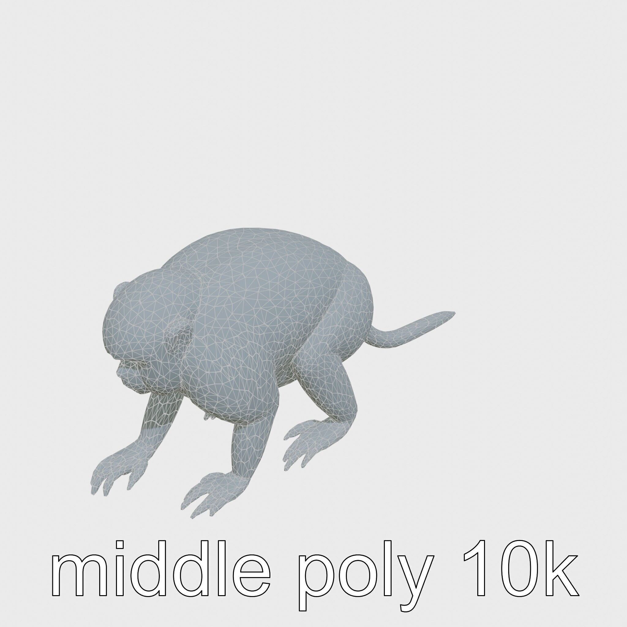 Colobus Monkey 3D Model with Flowing Fur Details Low-poly 3D model_13