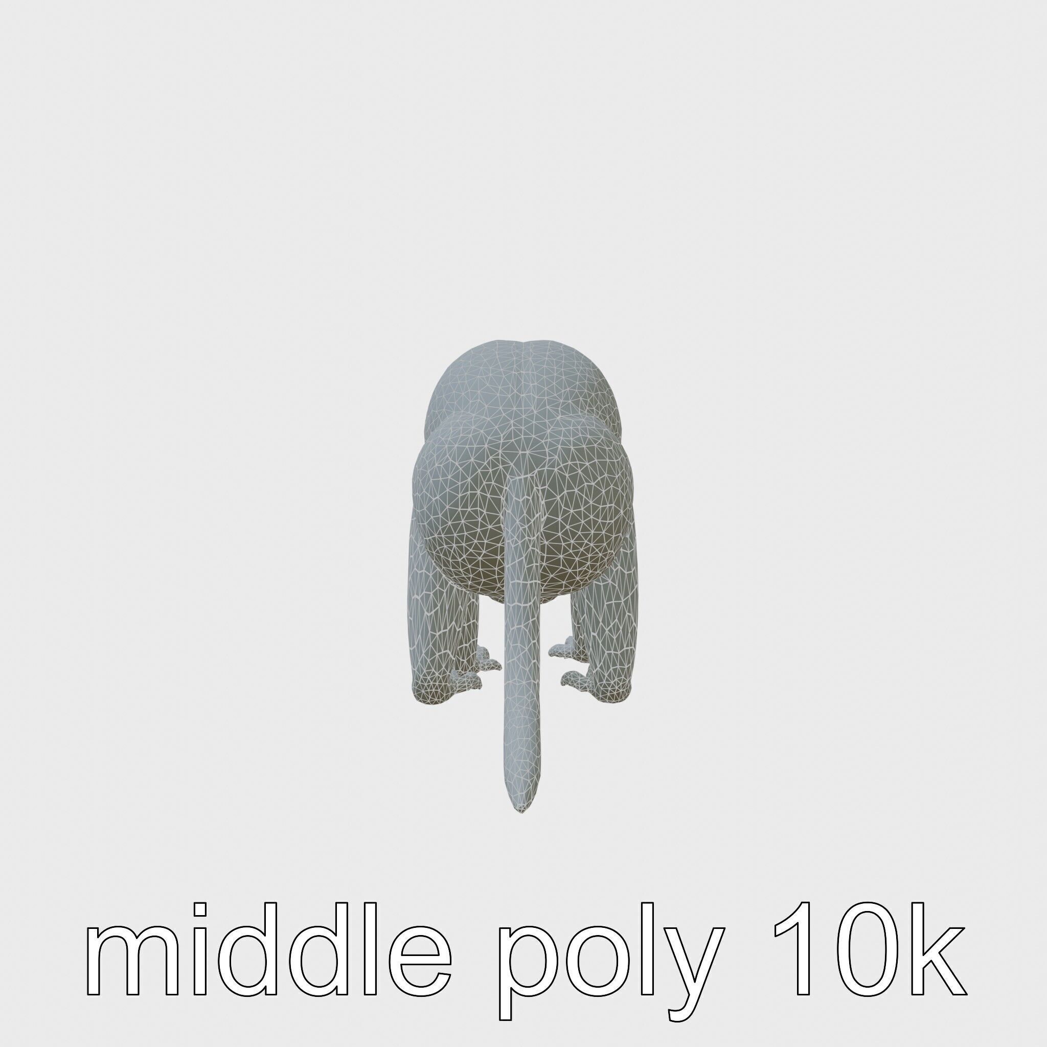 Colobus Monkey 3D Model with Flowing Fur Details Low-poly 3D model_9