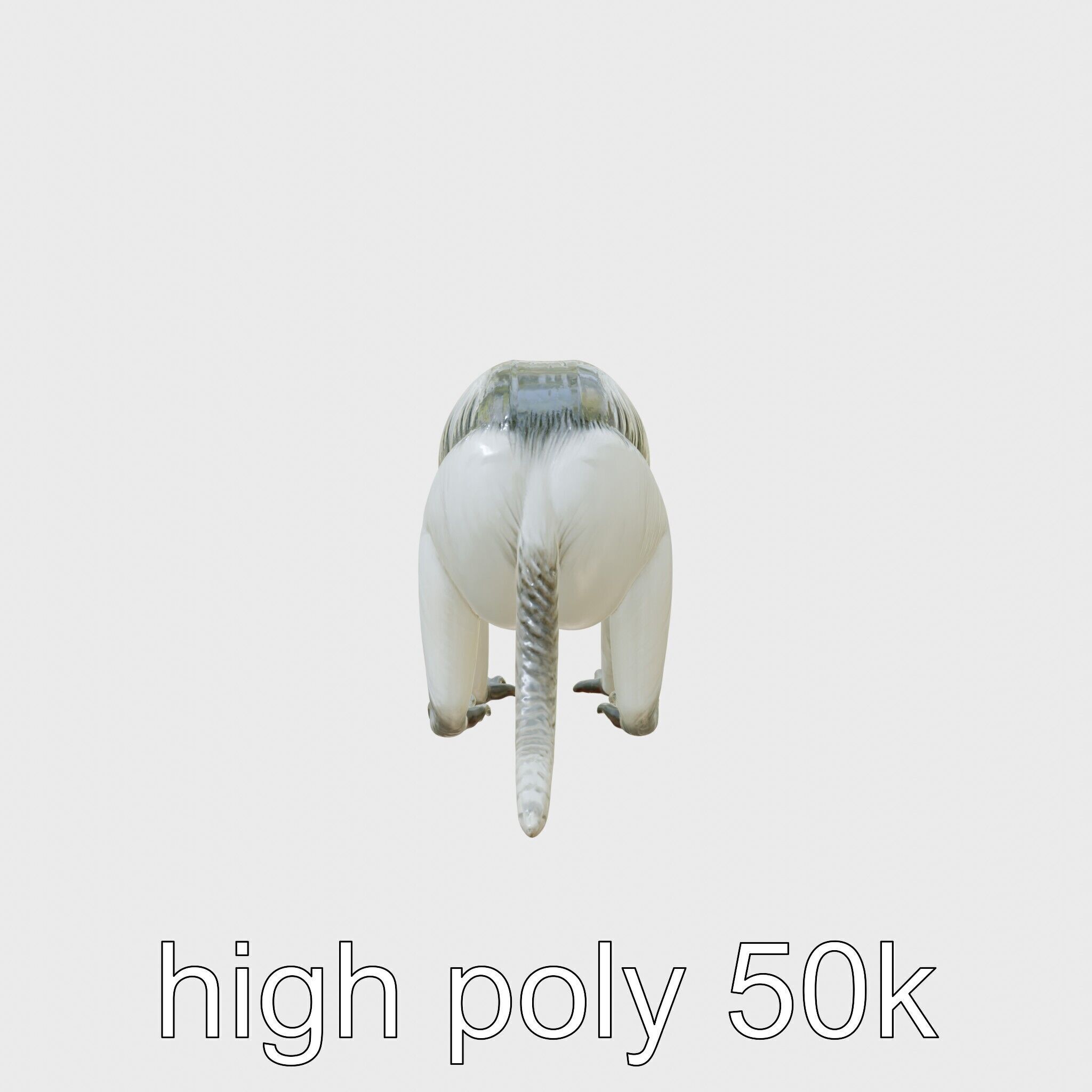 Colobus Monkey 3D Model with Flowing Fur Details Low-poly 3D model_5