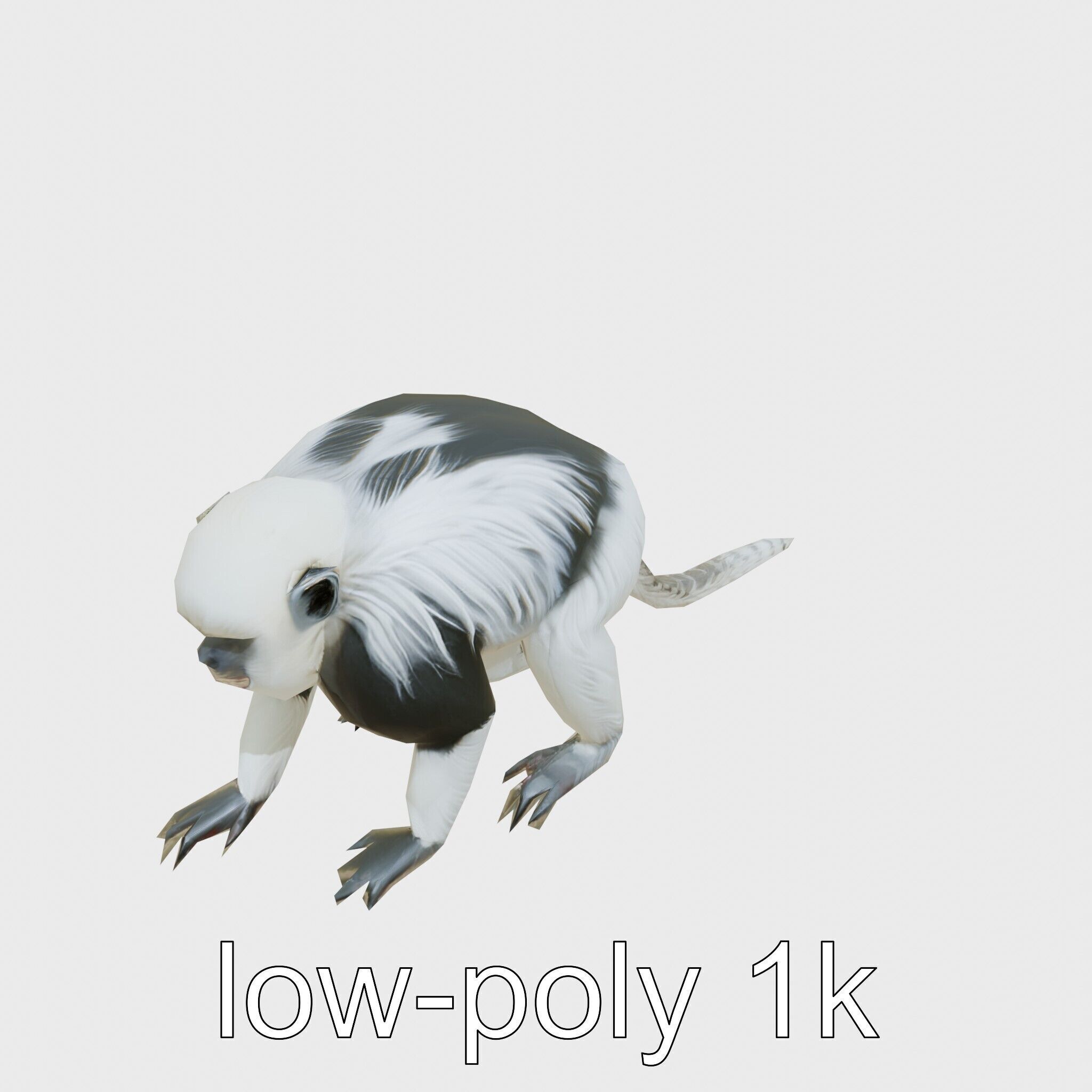 Colobus Monkey 3D Model with Flowing Fur Details Low-poly 3D model_16