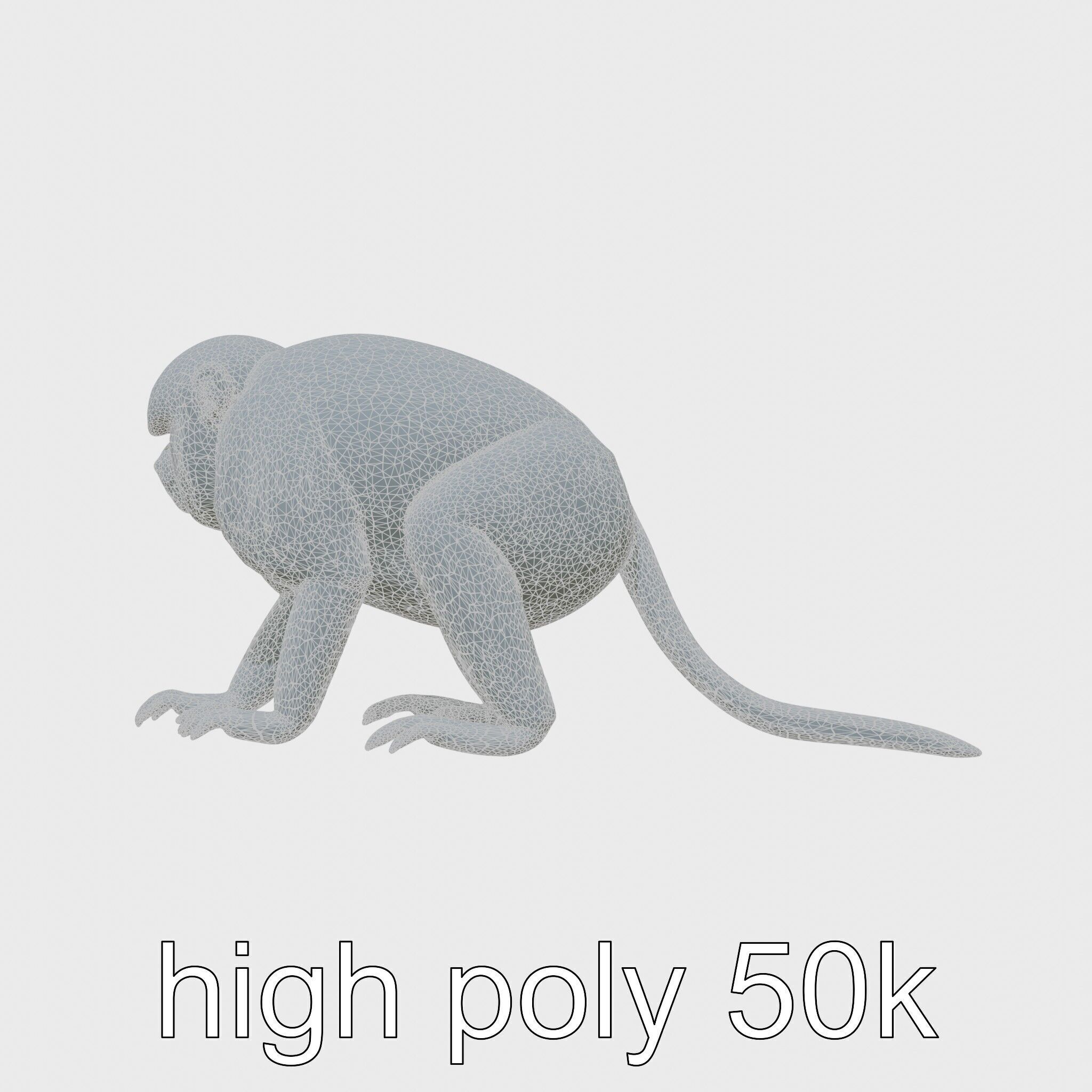 Colobus Monkey 3D Model with Flowing Fur Details Low-poly 3D model_19