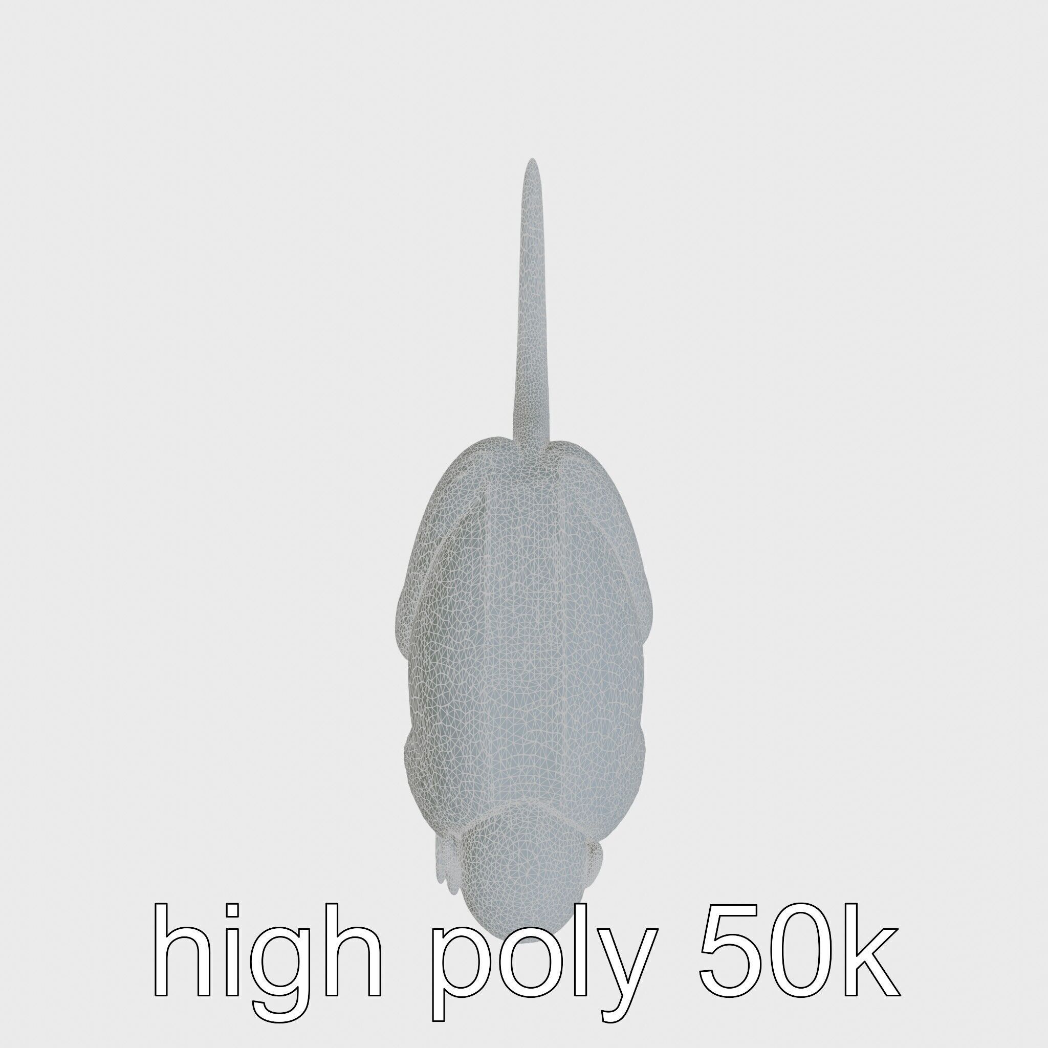 Colobus Monkey 3D Model with Flowing Fur Details Low-poly 3D model_21