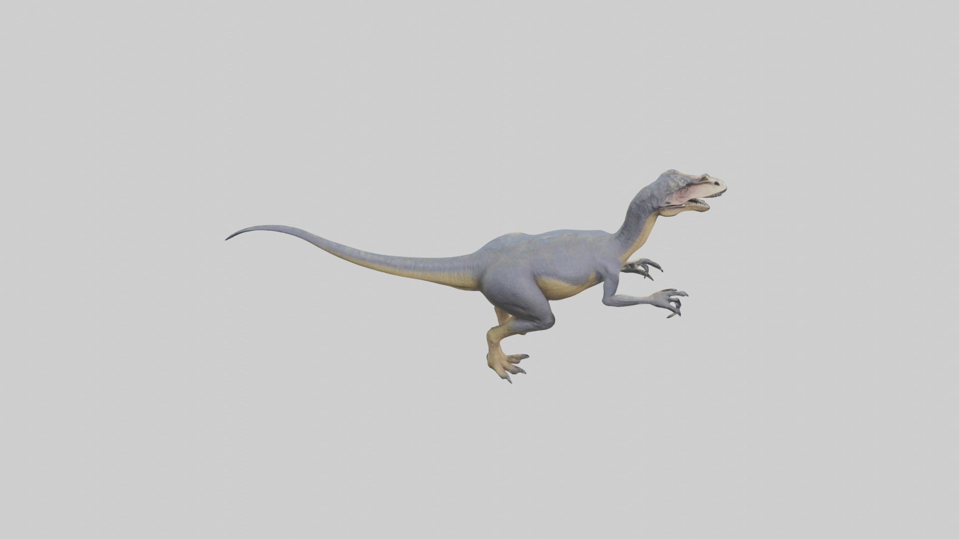 Dromaeosaurus model 3D model_15
