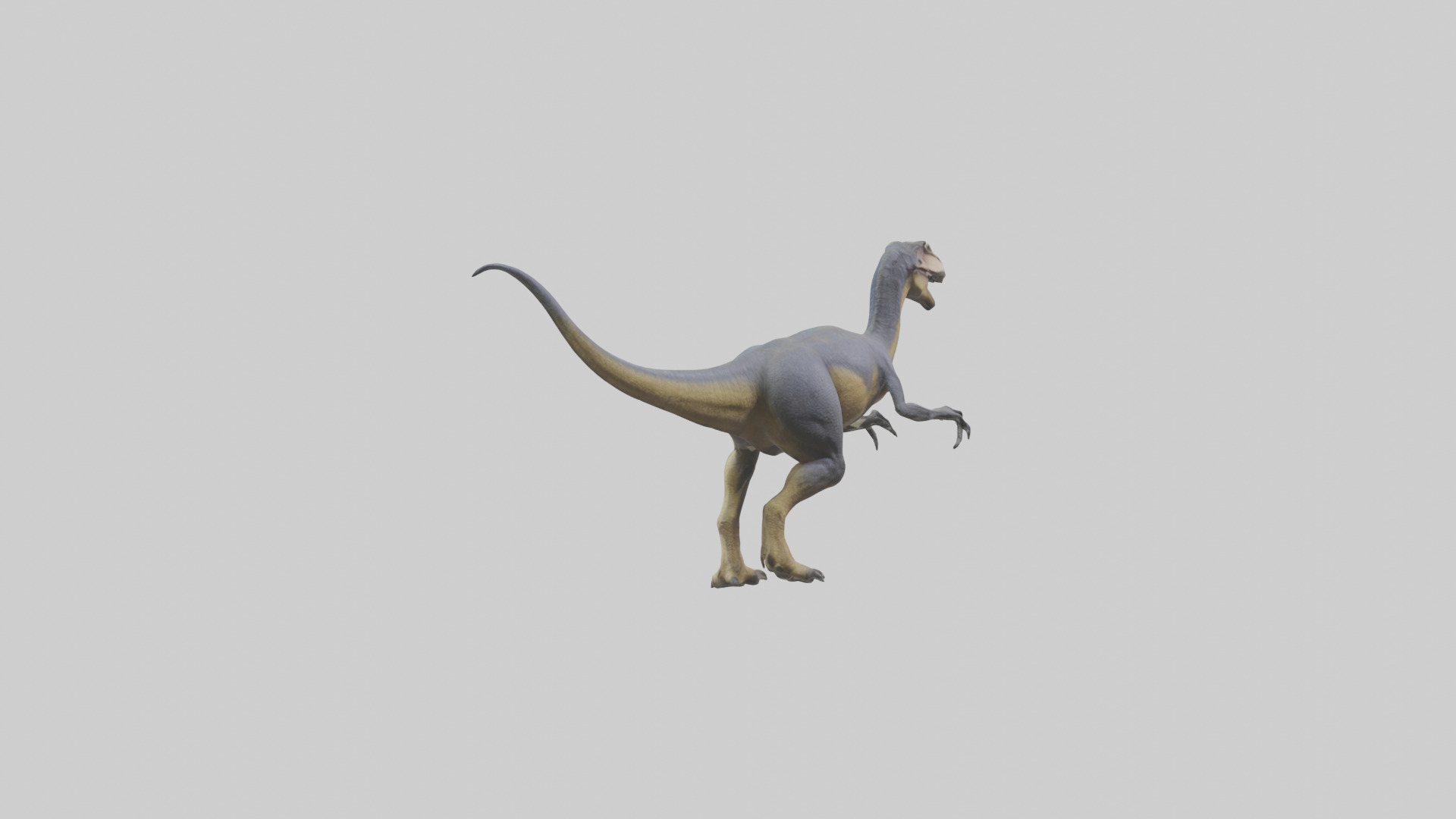 Dromaeosaurus model 3D model_1