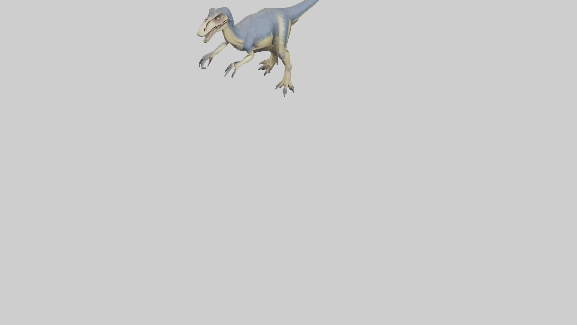 Dromaeosaurus model 3D model_6