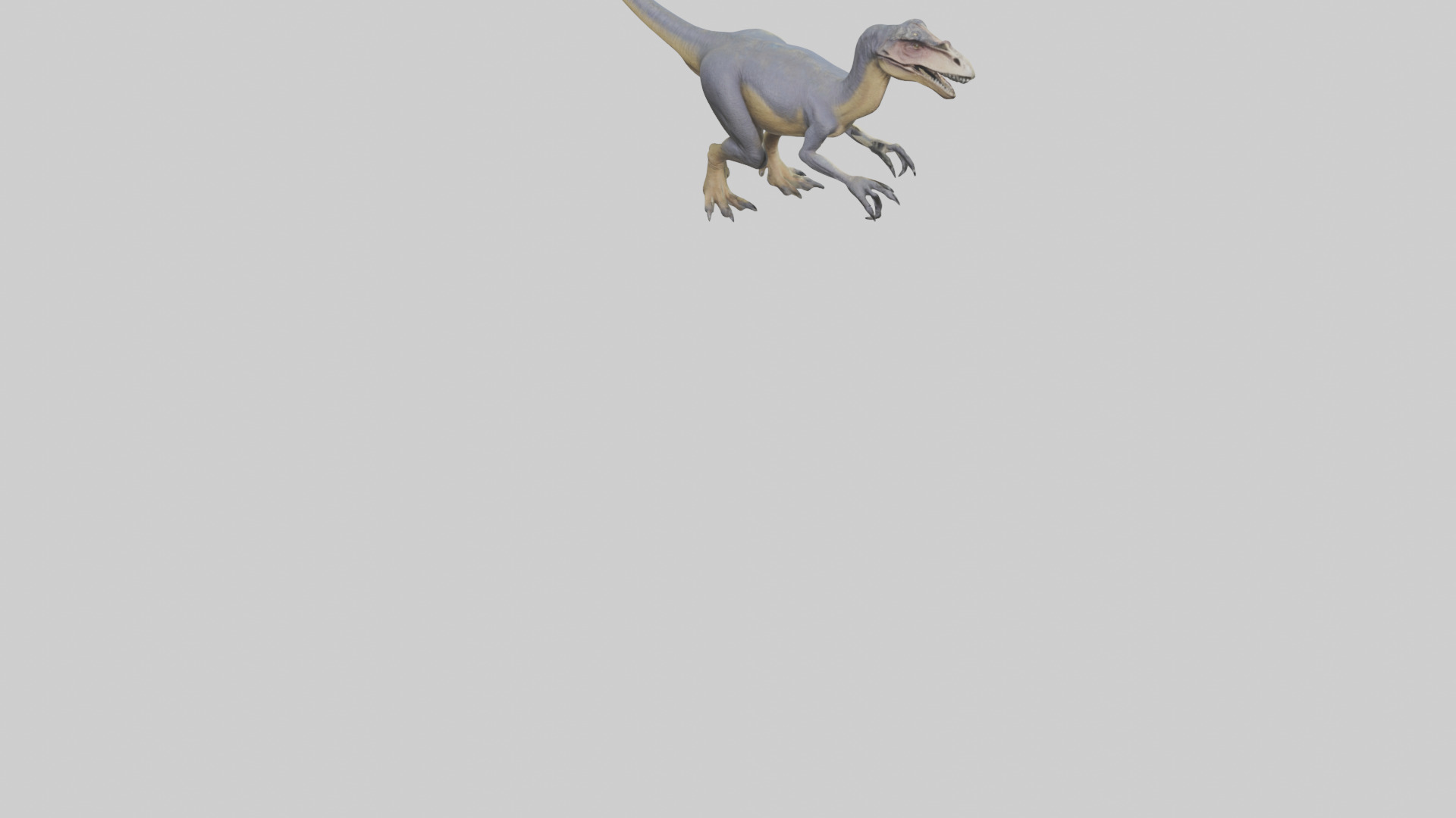 Dromaeosaurus model 3D model_4