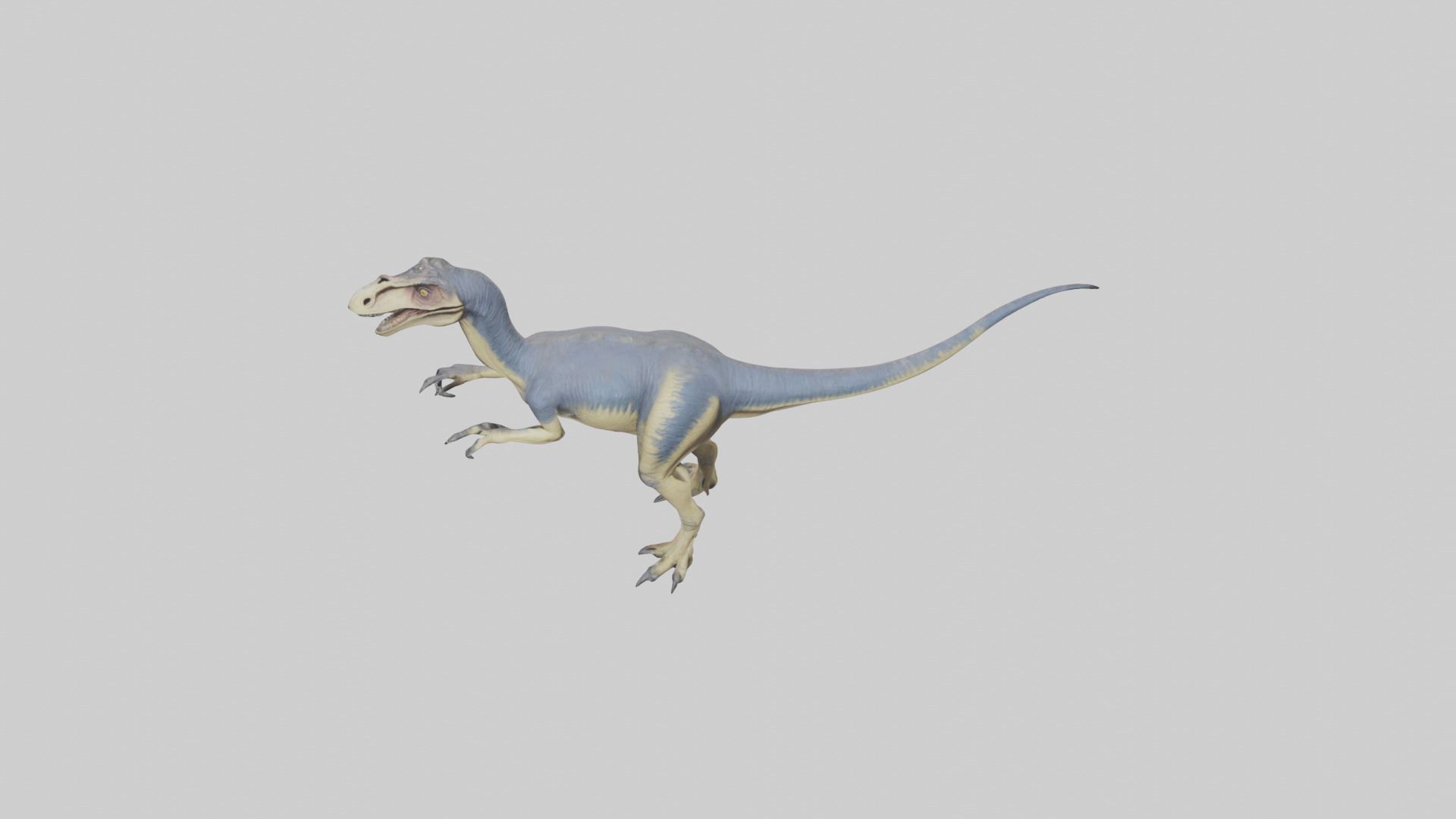 Dromaeosaurus model 3D model_16