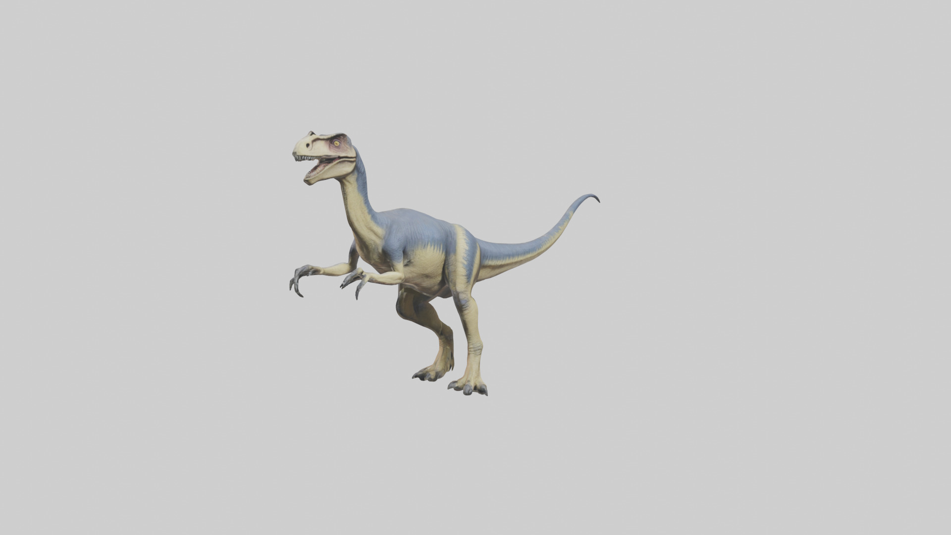 Dromaeosaurus model 3D model_7