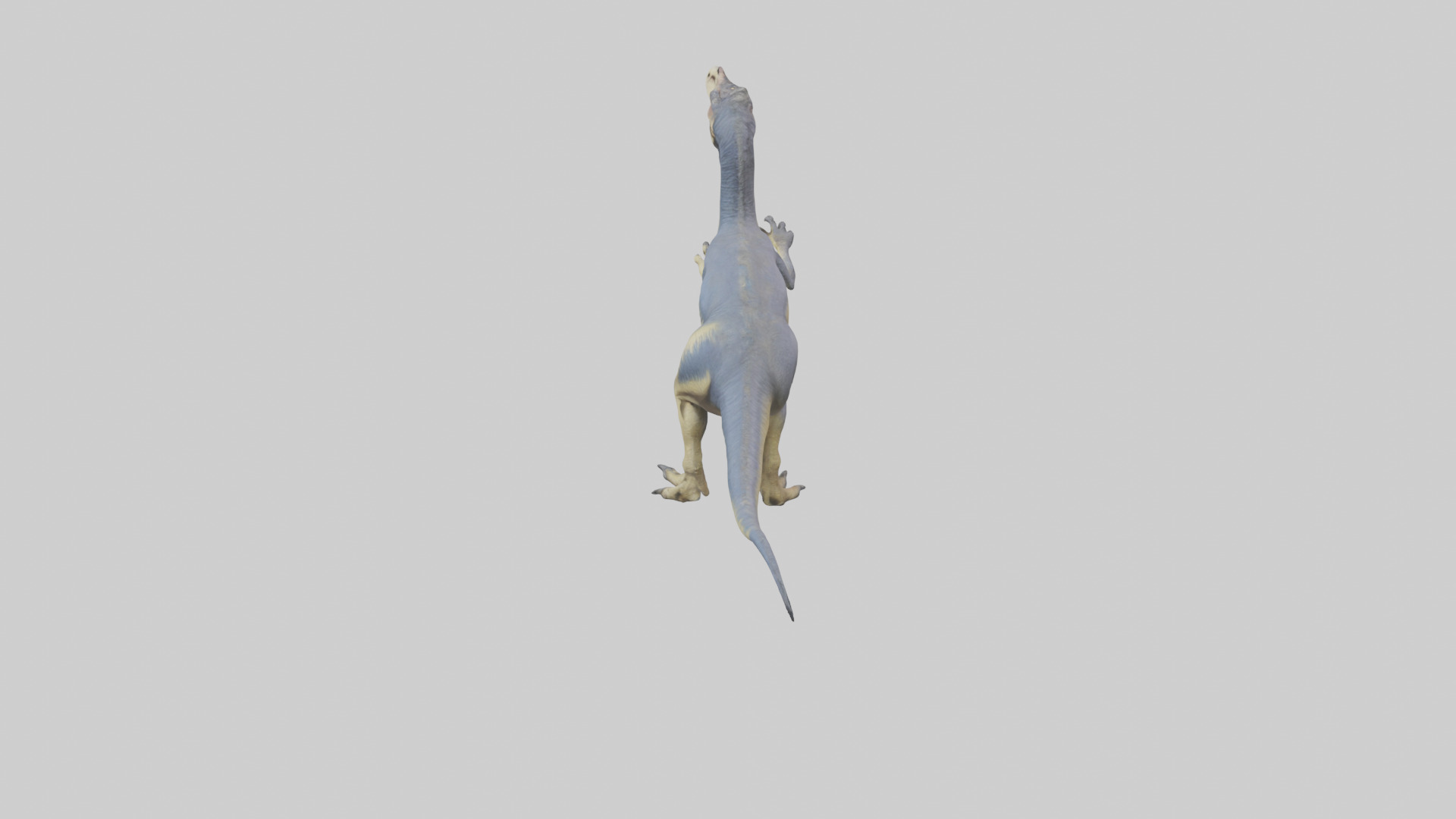 Dromaeosaurus model 3D model_17