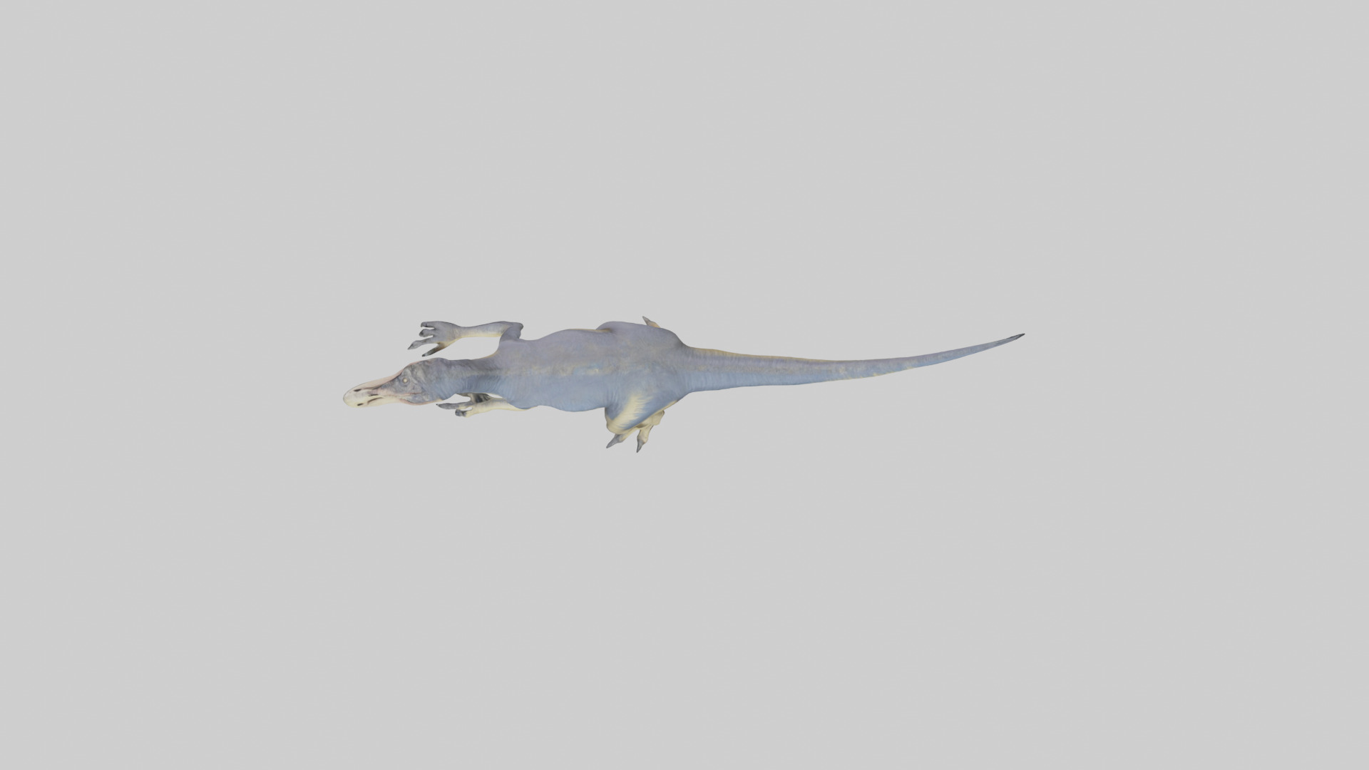 Dromaeosaurus model 3D model_14