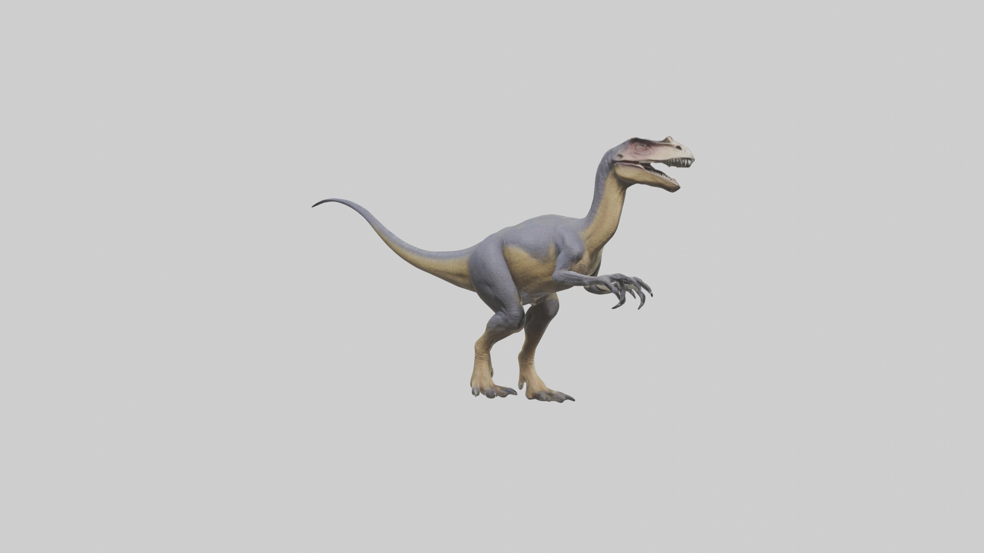 Dromaeosaurus model 3D model_2