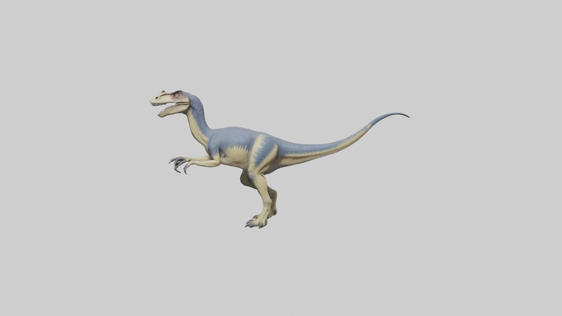 Dromaeosaurus model 3D model_9