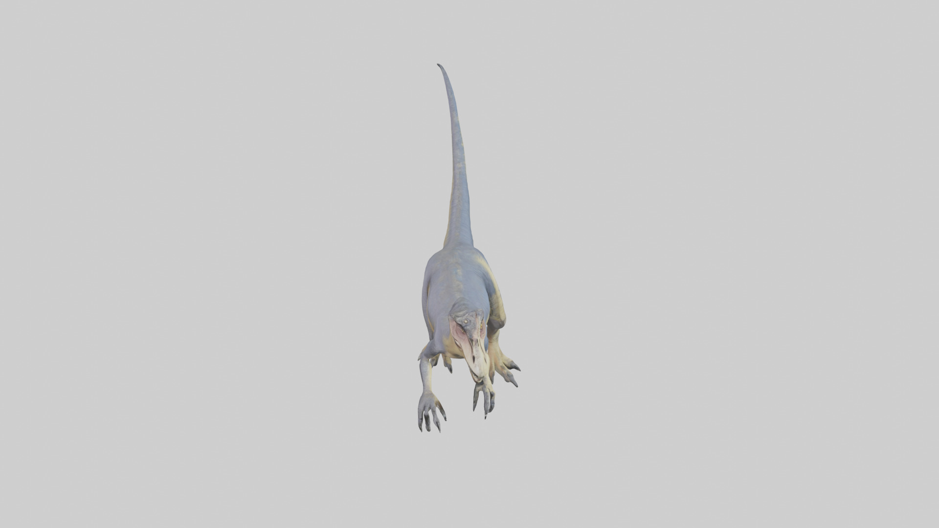 Dromaeosaurus model 3D model_18