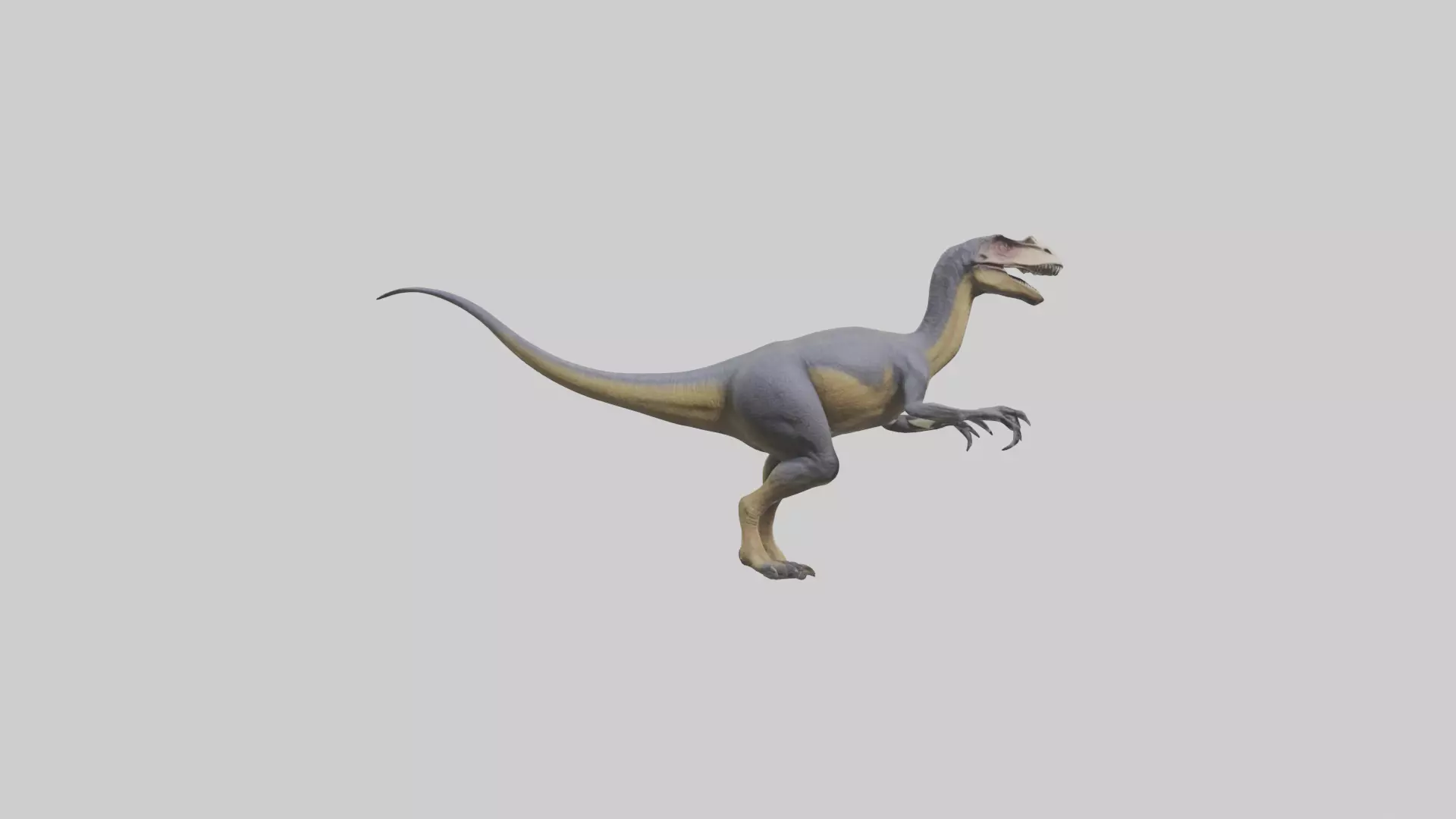 Dromaeosaurus model 3D model_0