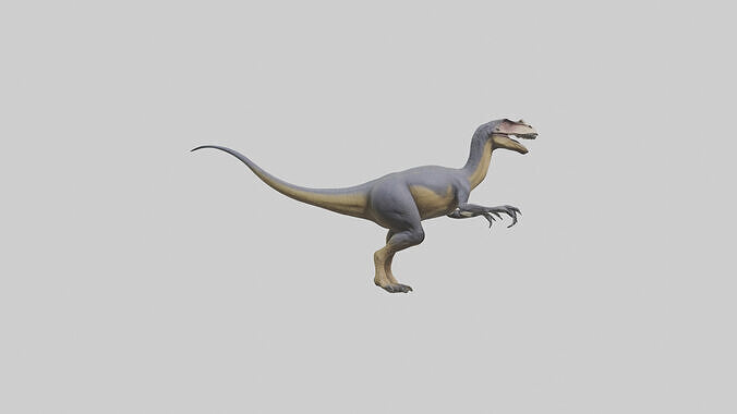 Dromaeosaurus model 3D model