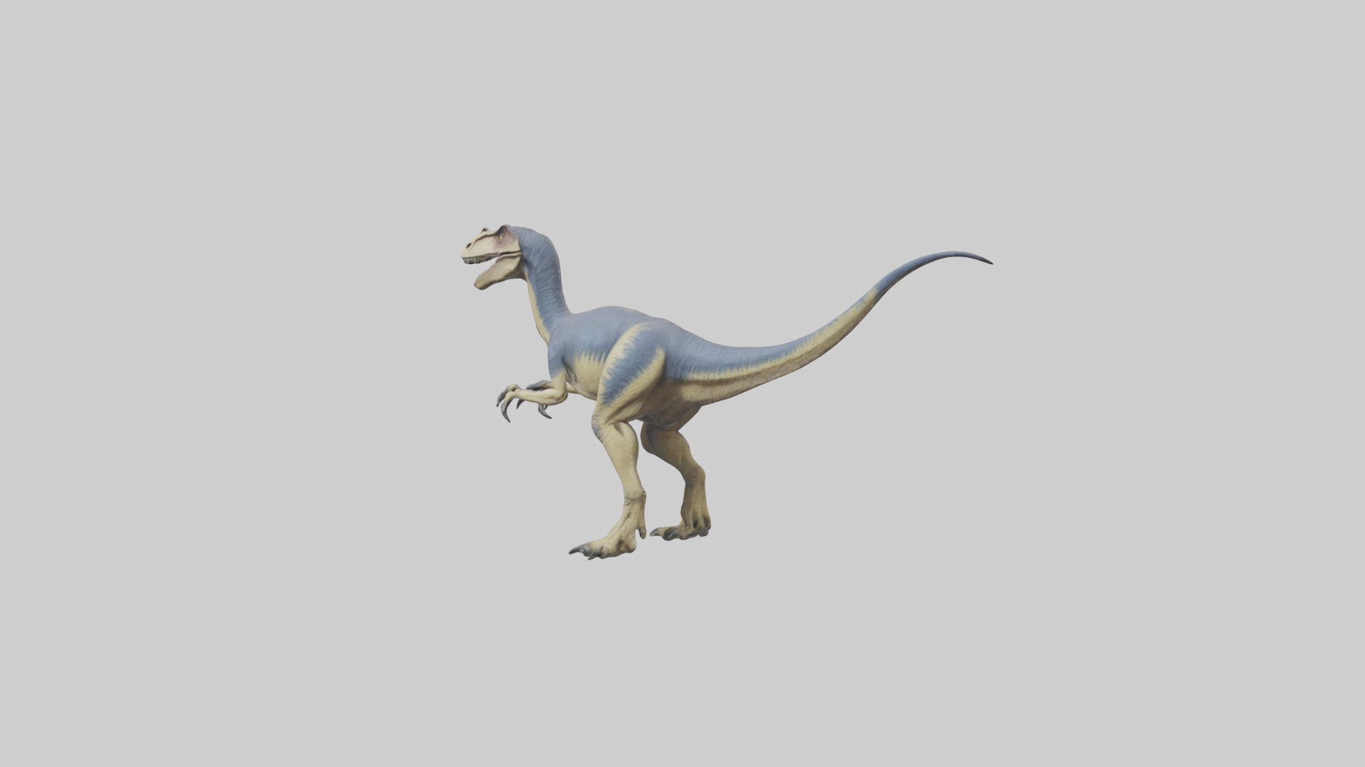 Dromaeosaurus model 3D model_10