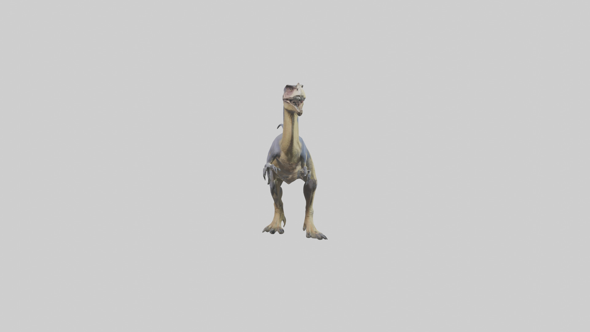 Dromaeosaurus model 3D model_13