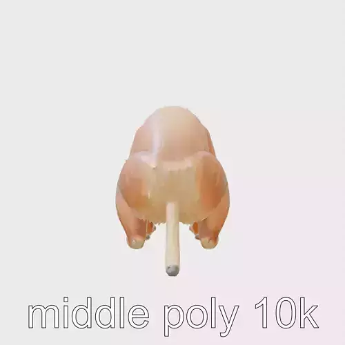 Uakari Monkey 3D Model with Vivid Red Face