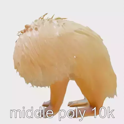 Golden Lion Tamarin Fiery Orange Model Low-poly 3D model