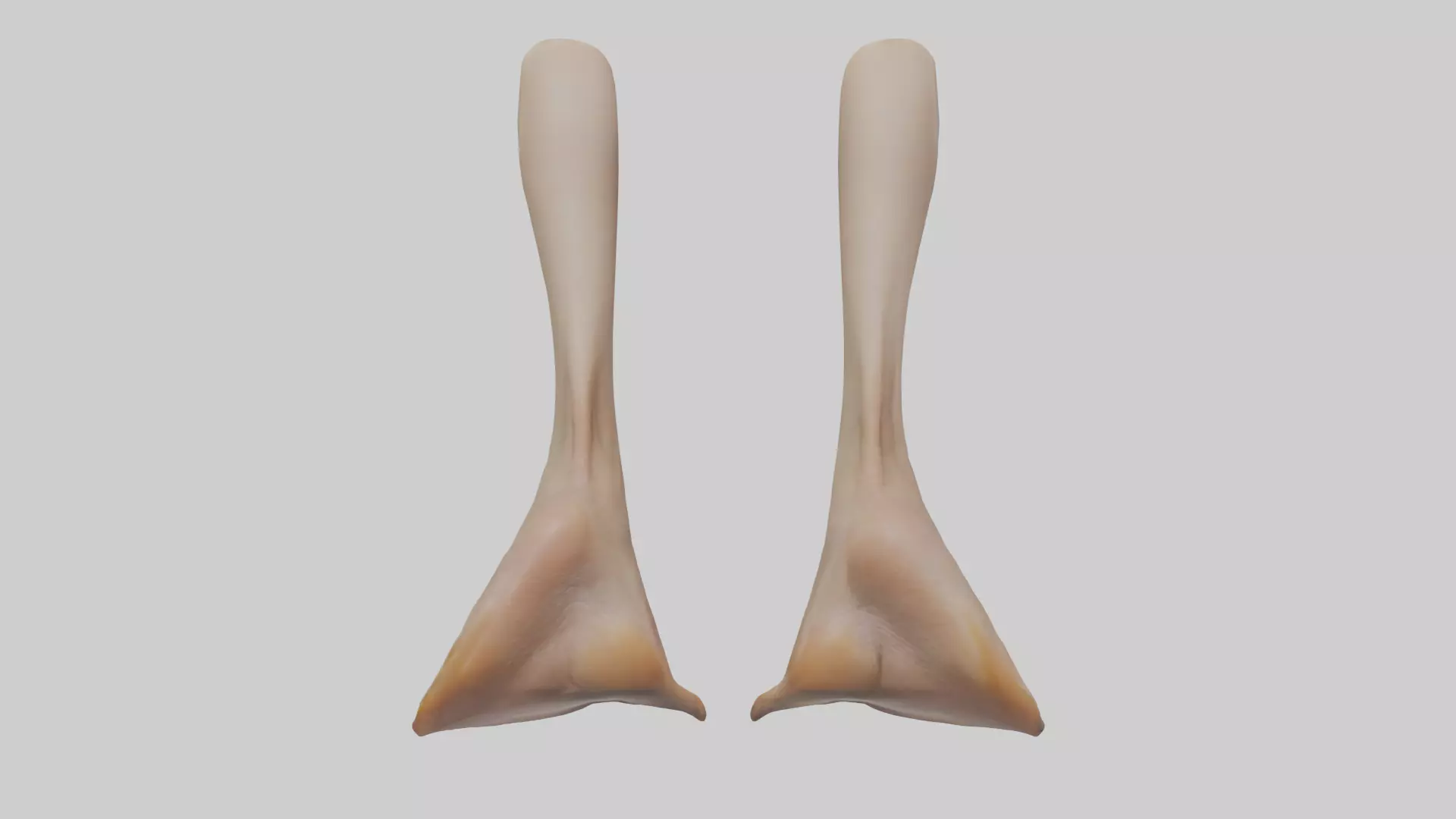 Duck Feet Low-poly 3D model_0