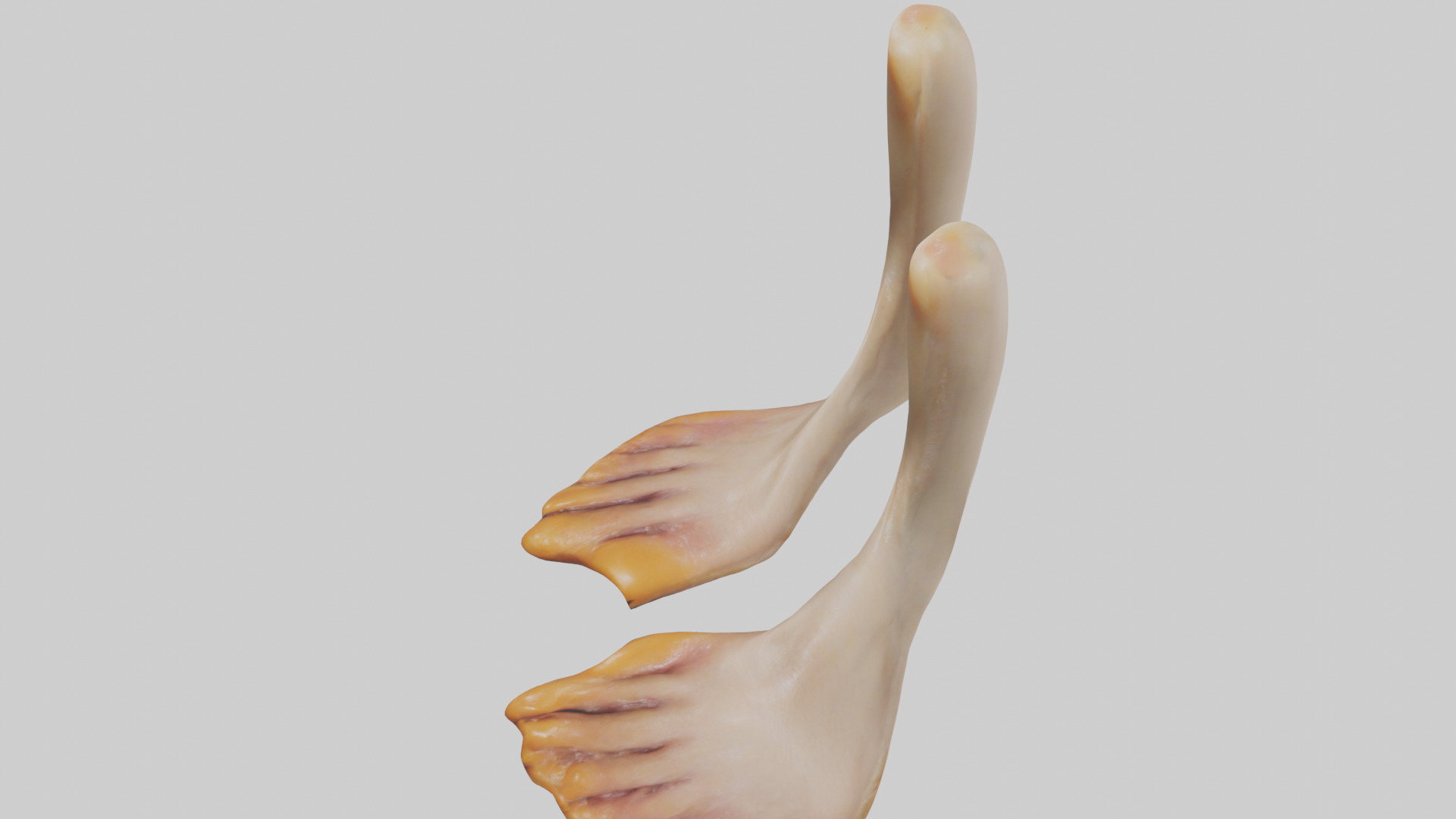 Duck Feet Low-poly 3D model_17
