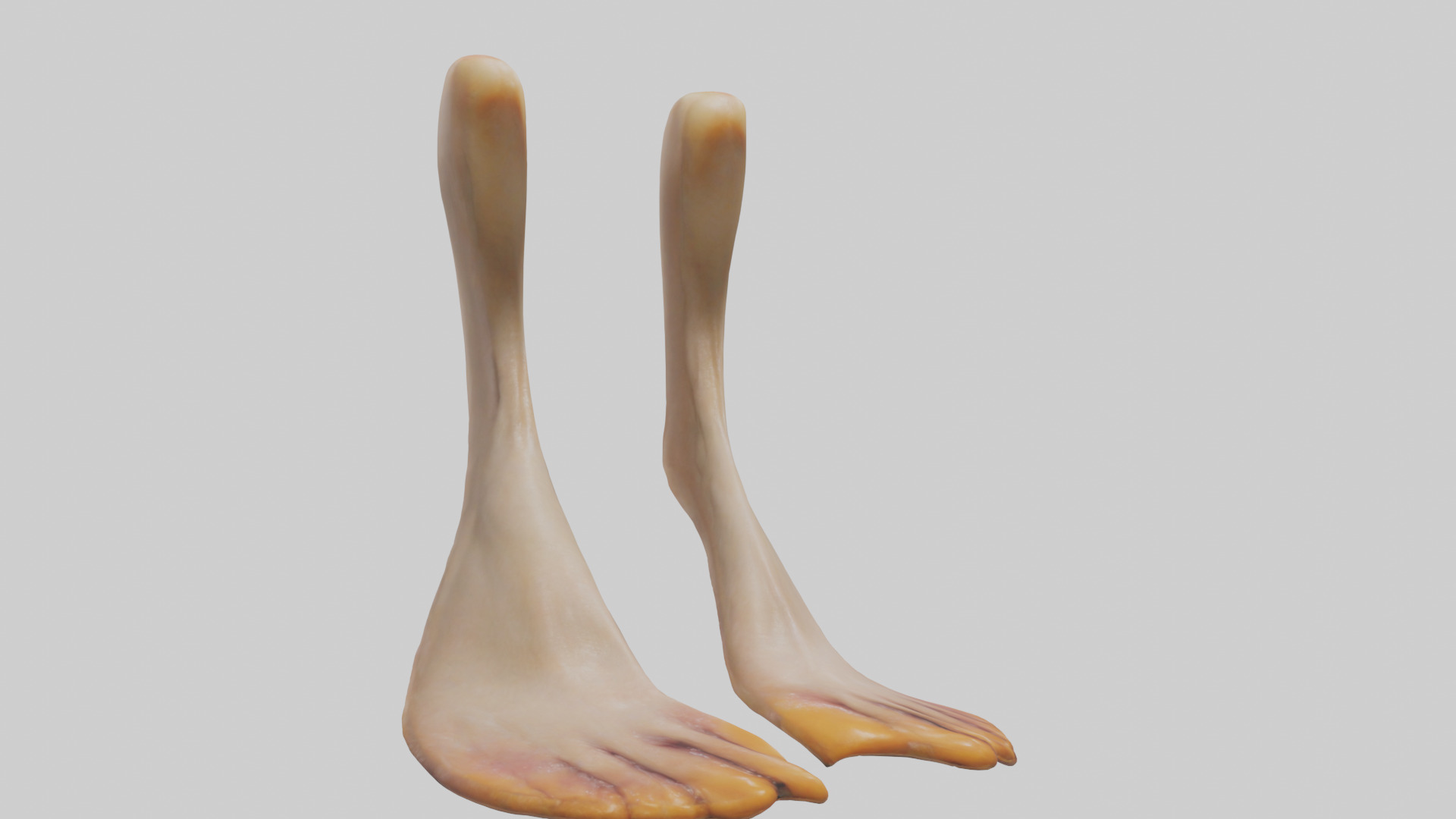 Duck Feet Low-poly 3D model_7