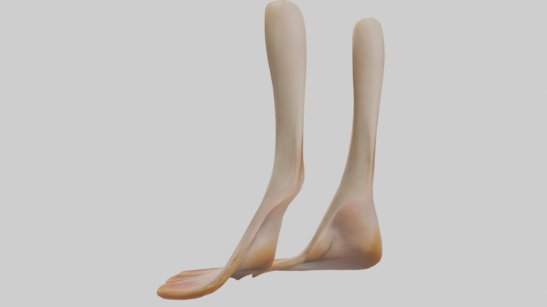 Duck Feet Low-poly 3D model_1