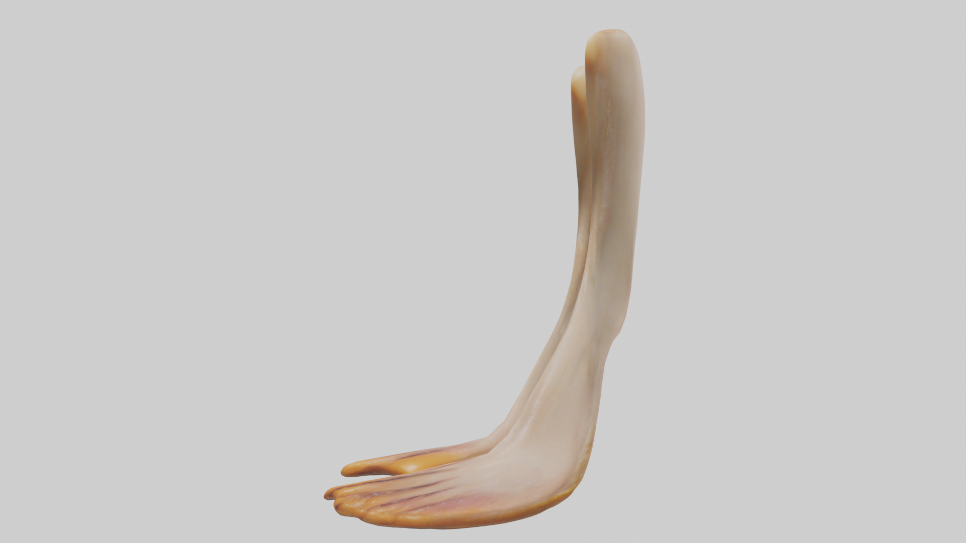 Duck Feet Low-poly 3D model_12