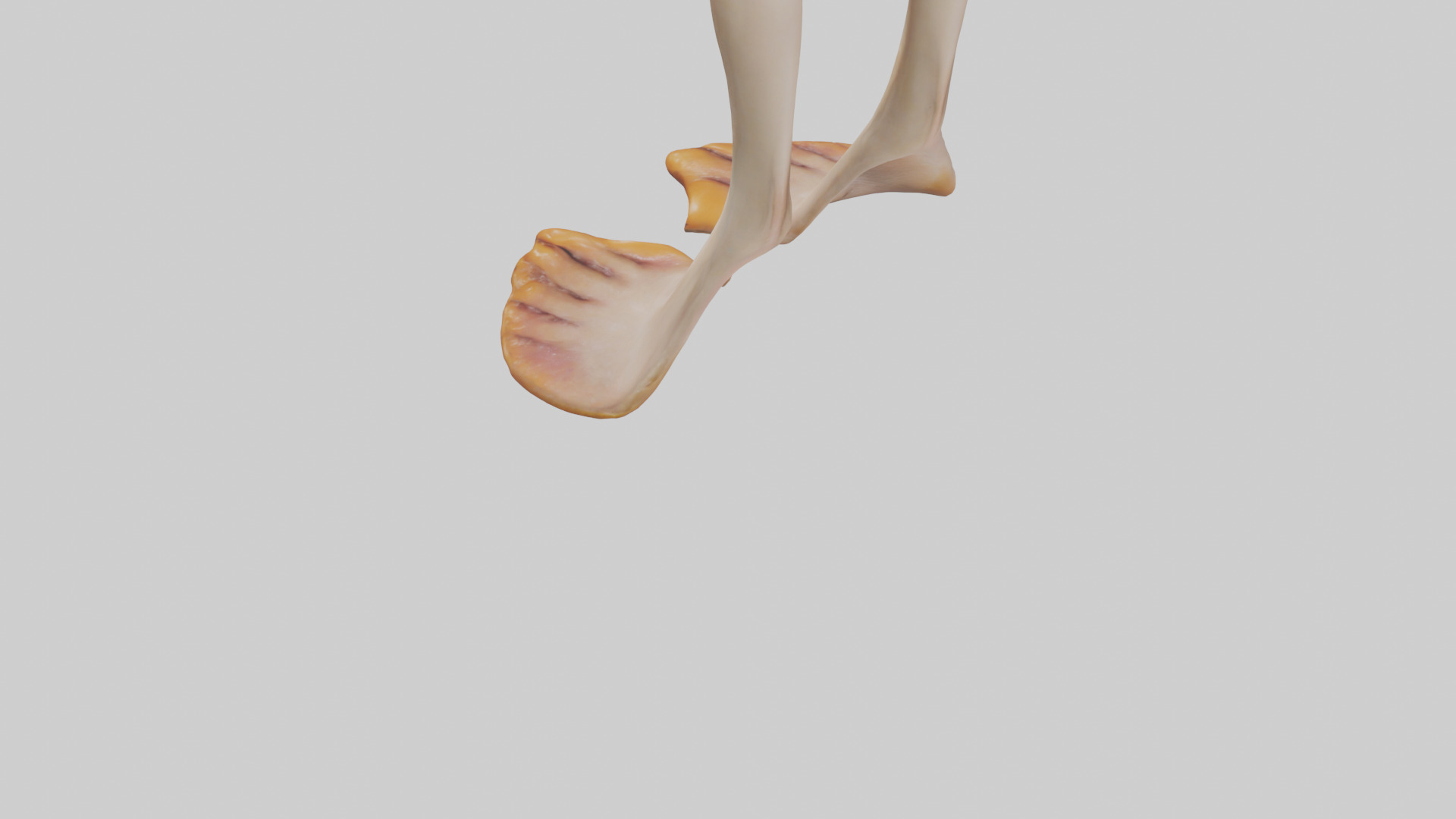 Duck Feet Low-poly 3D model_3