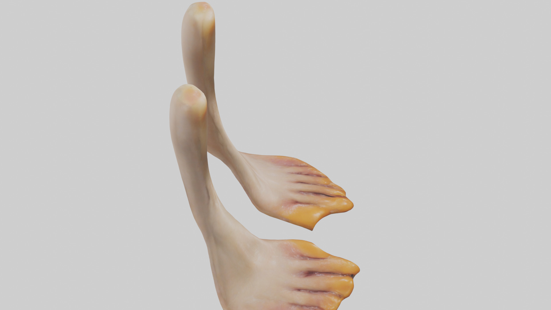 Duck Feet Low-poly 3D model_18