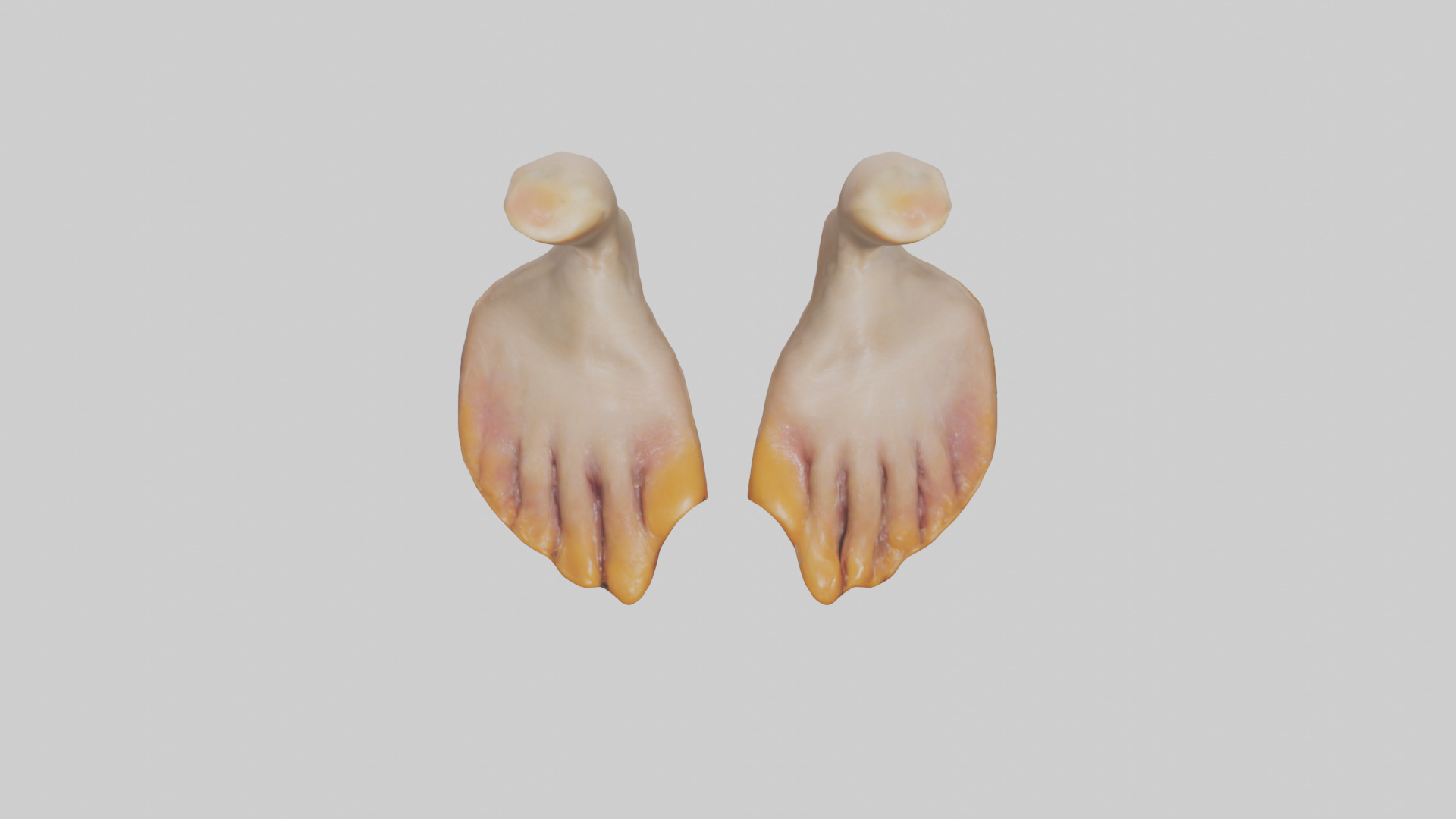 Duck Feet Low-poly 3D model_14
