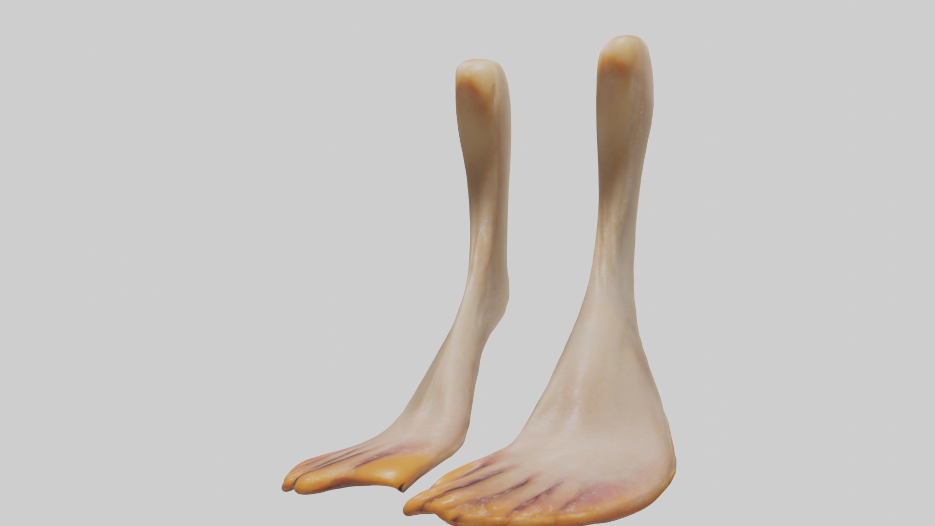 Duck Feet Low-poly 3D model_10