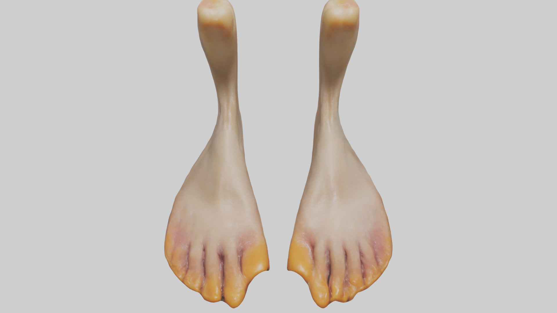 Duck Feet Low-poly 3D model_16