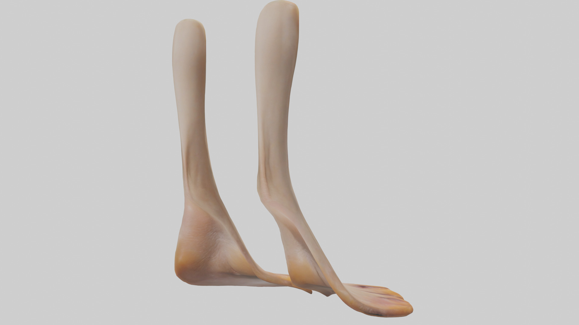 Duck Feet Low-poly 3D model_2