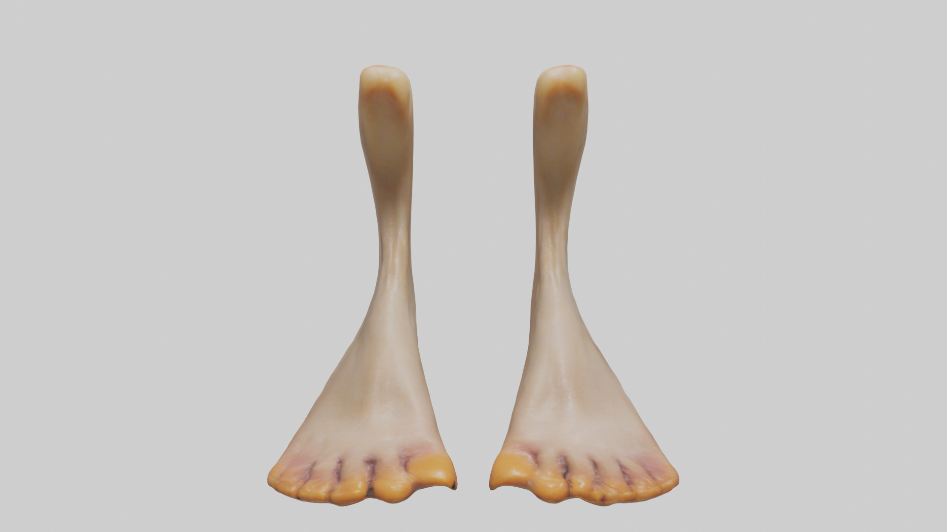 Duck Feet Low-poly 3D model_9