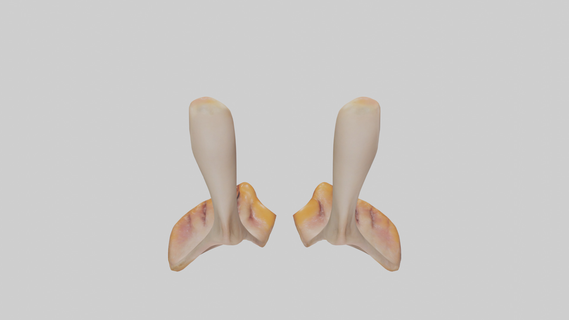 Duck Feet Low-poly 3D model_15
