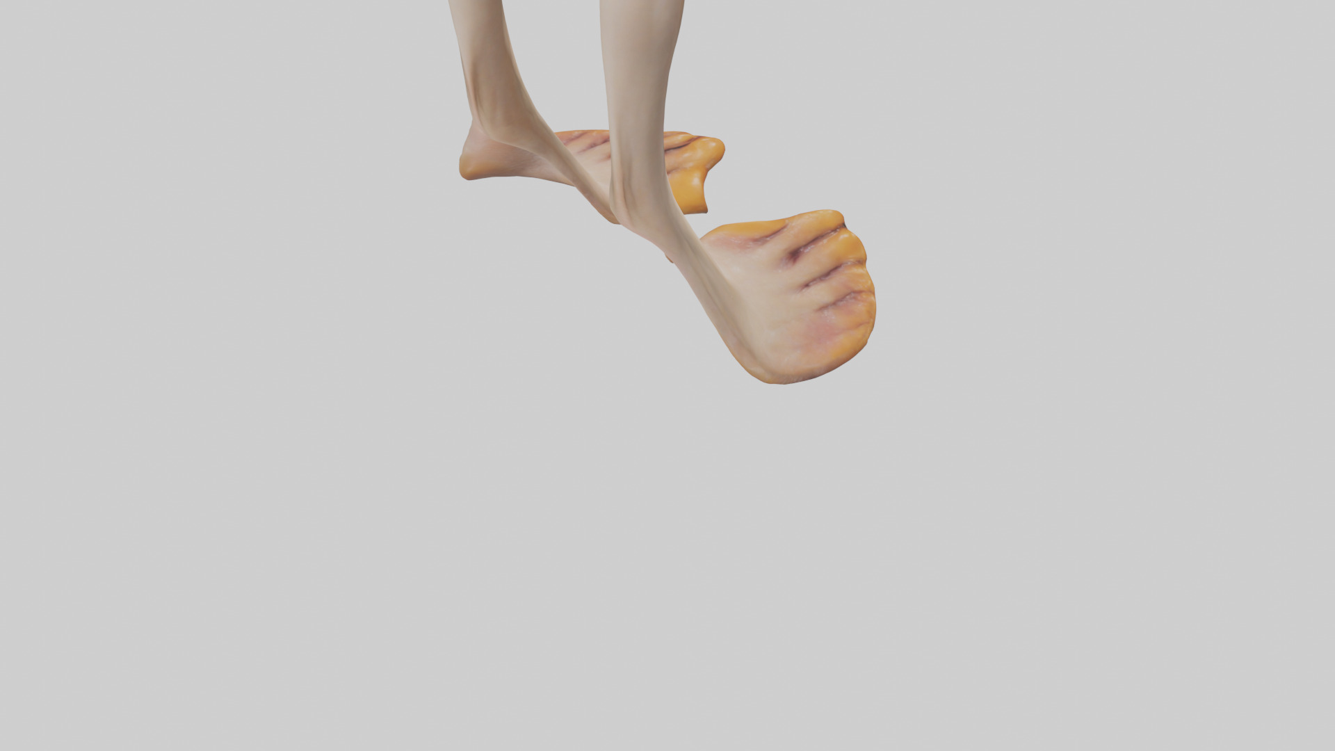 Duck Feet Low-poly 3D model_4