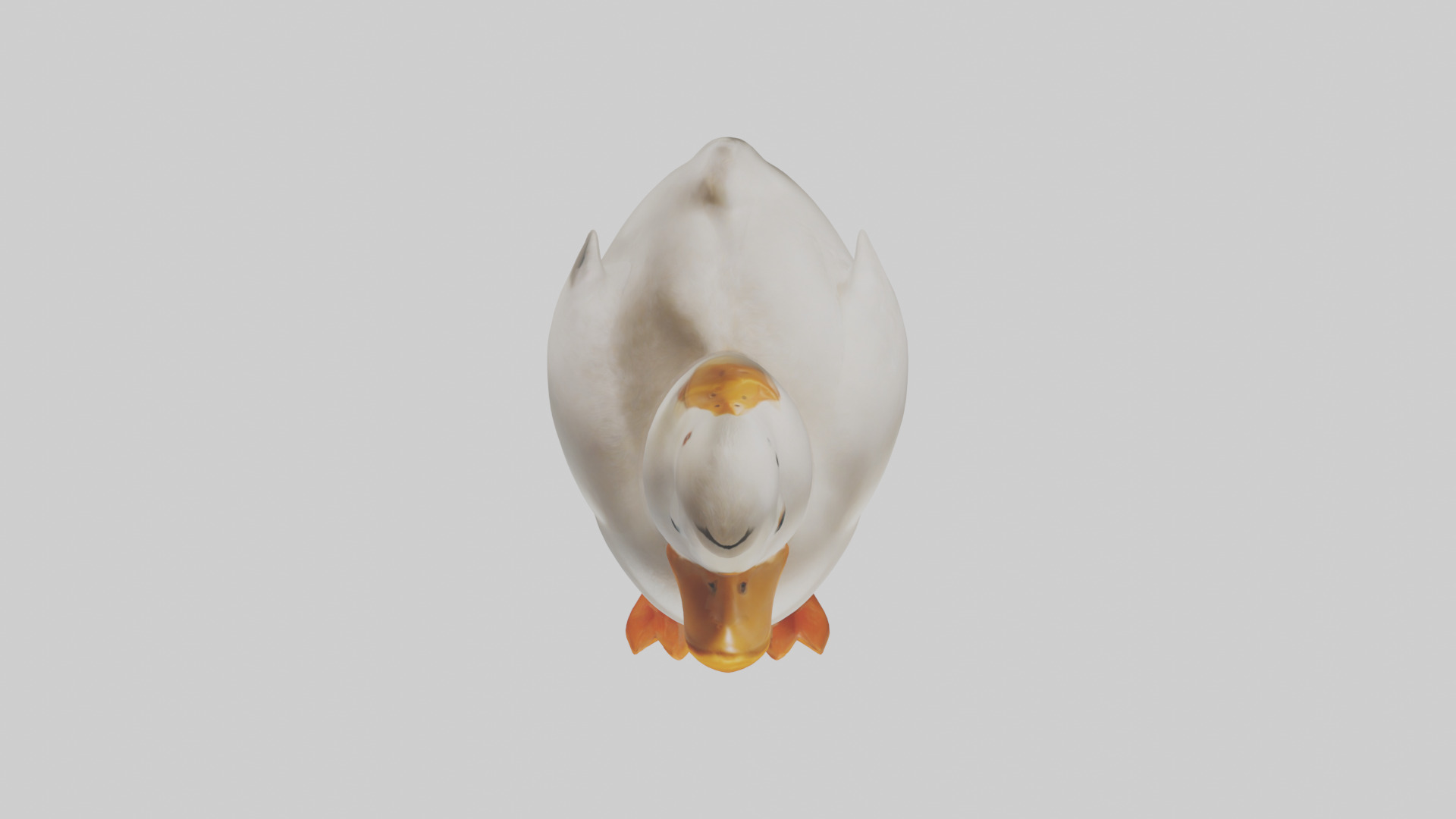 Duck waddling model 3D model_14