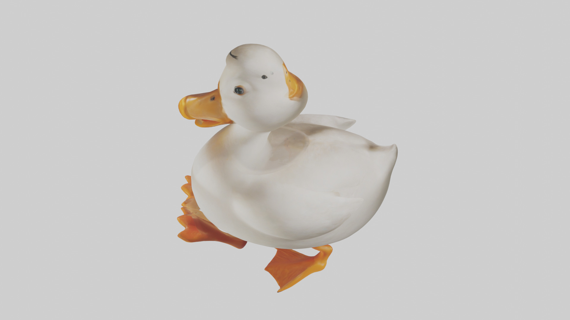 Duck waddling model 3D model_17