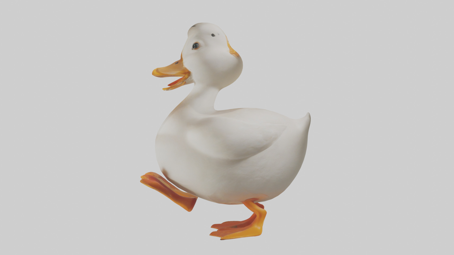 Duck waddling model 3D model_12