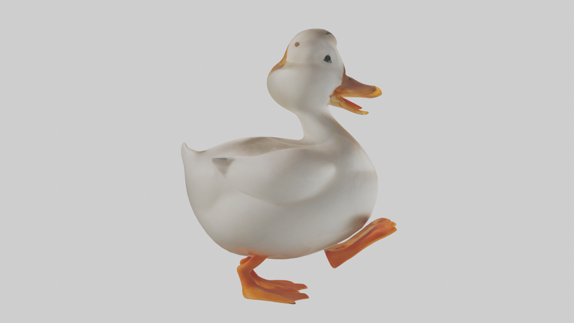 Duck waddling model 3D model_13