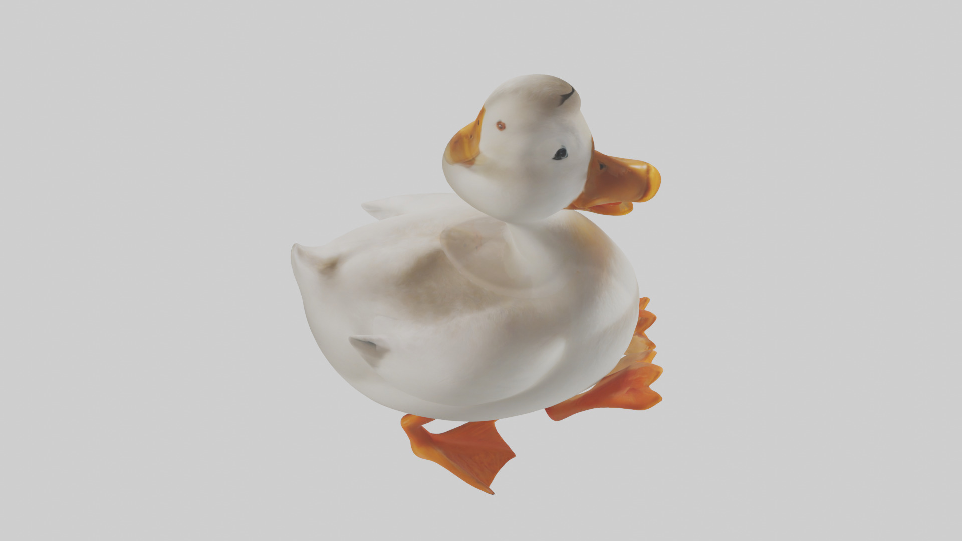 Duck waddling model 3D model_18
