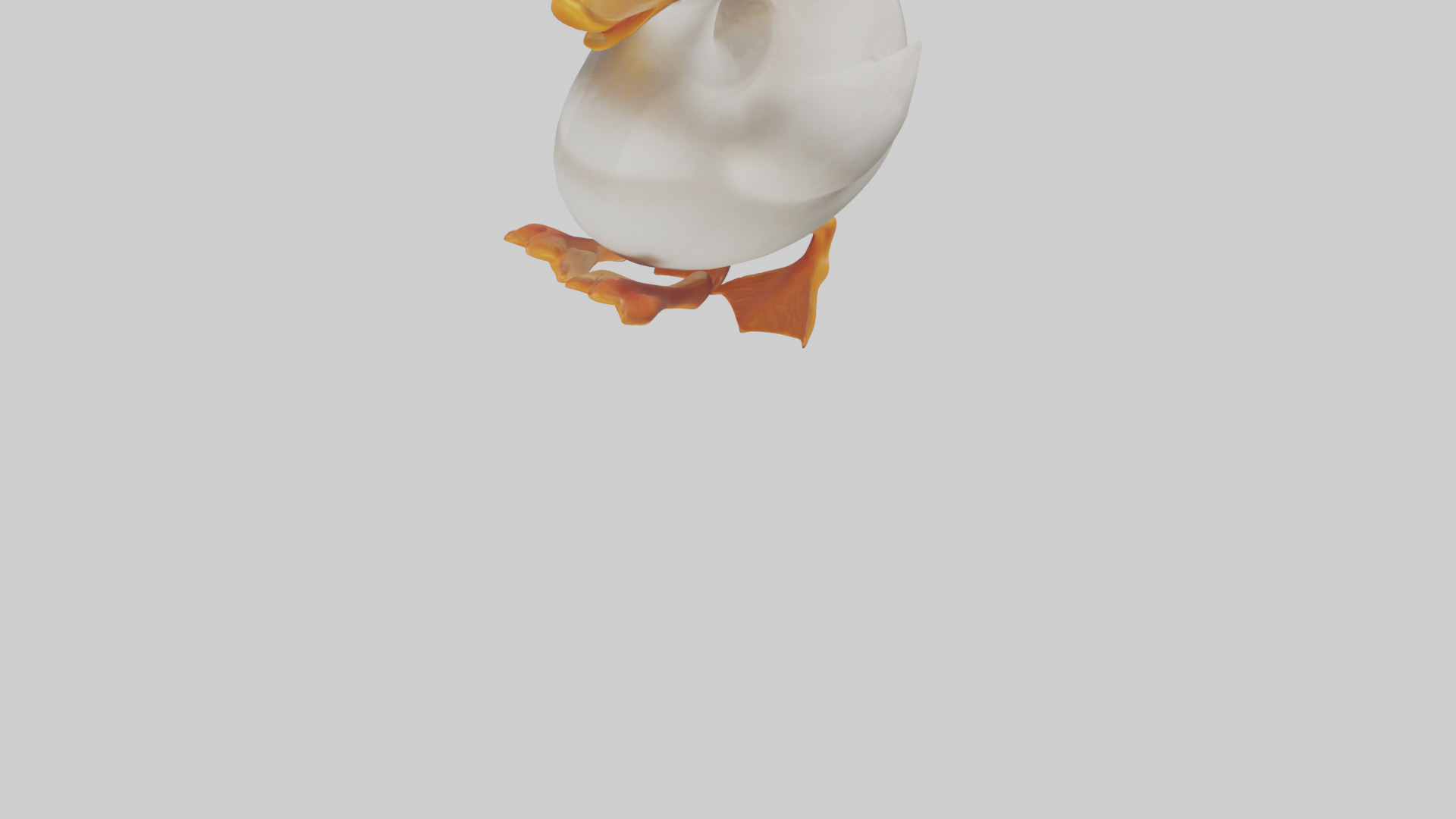 Duck waddling model 3D model_5