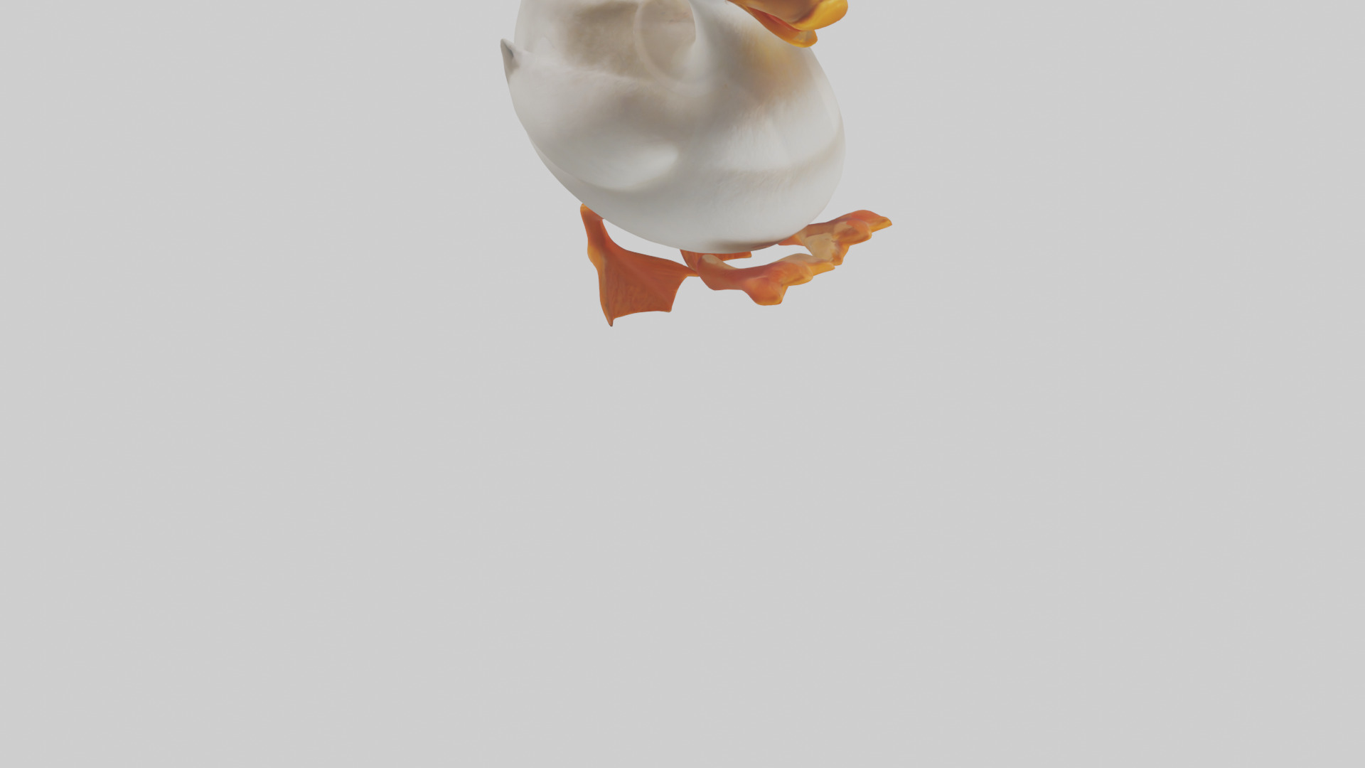 Duck waddling model 3D model_6