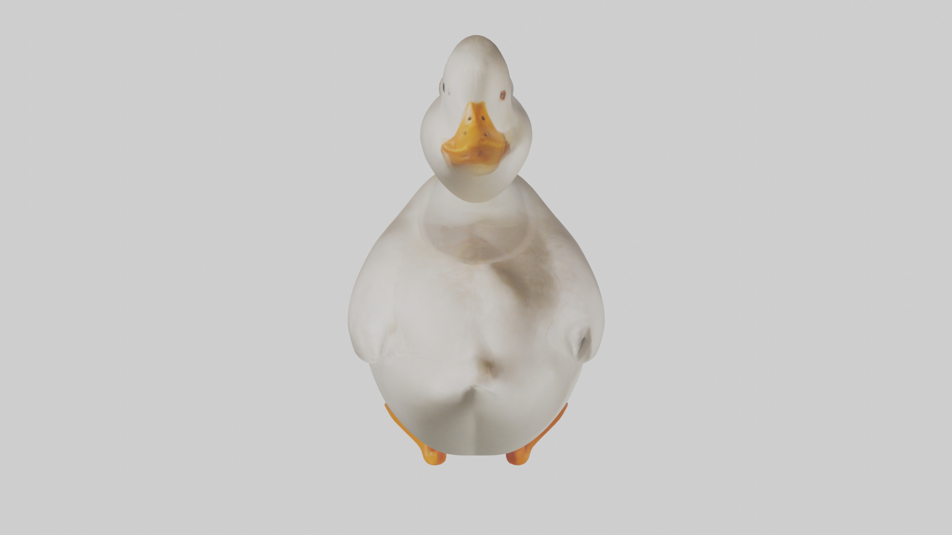 Duck waddling model 3D model_15